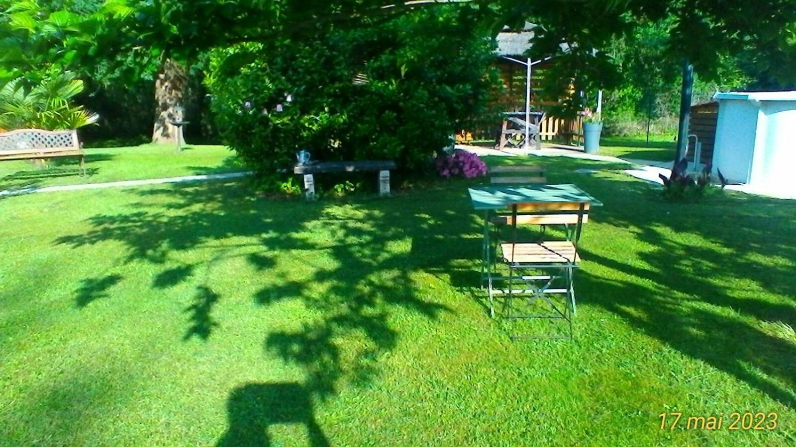 Photo 22