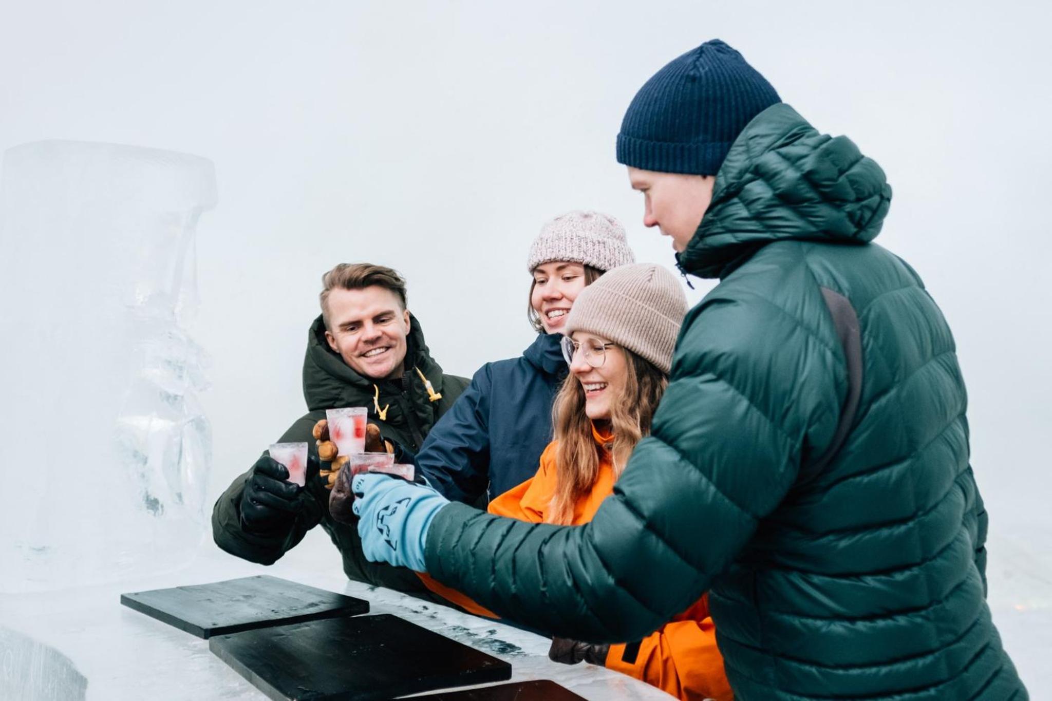 Arctic SnowHotel & Glass Igloos 12