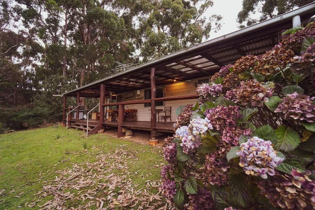 Seaview Retreat