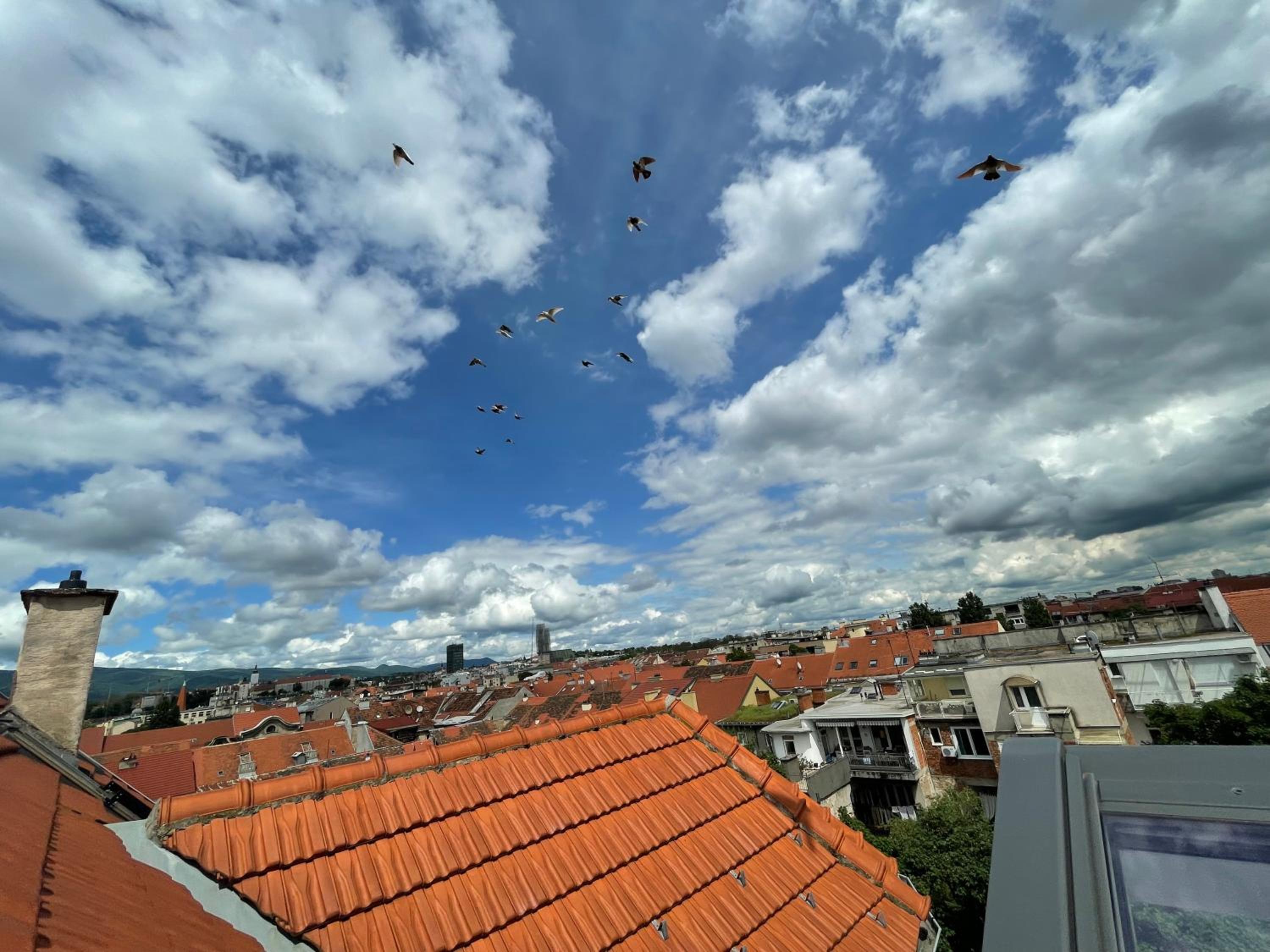 roof