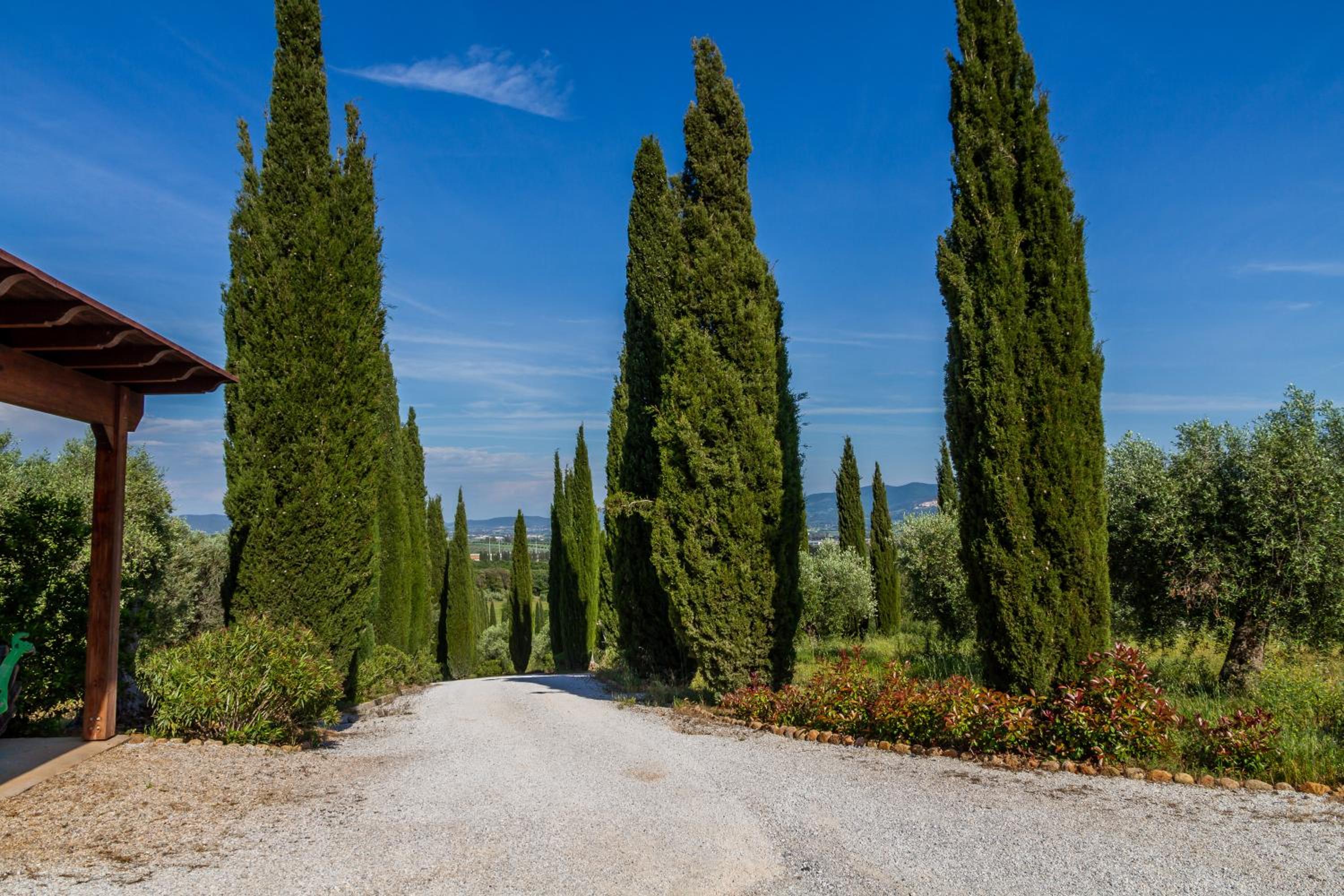Villa Glicine - Colleberto