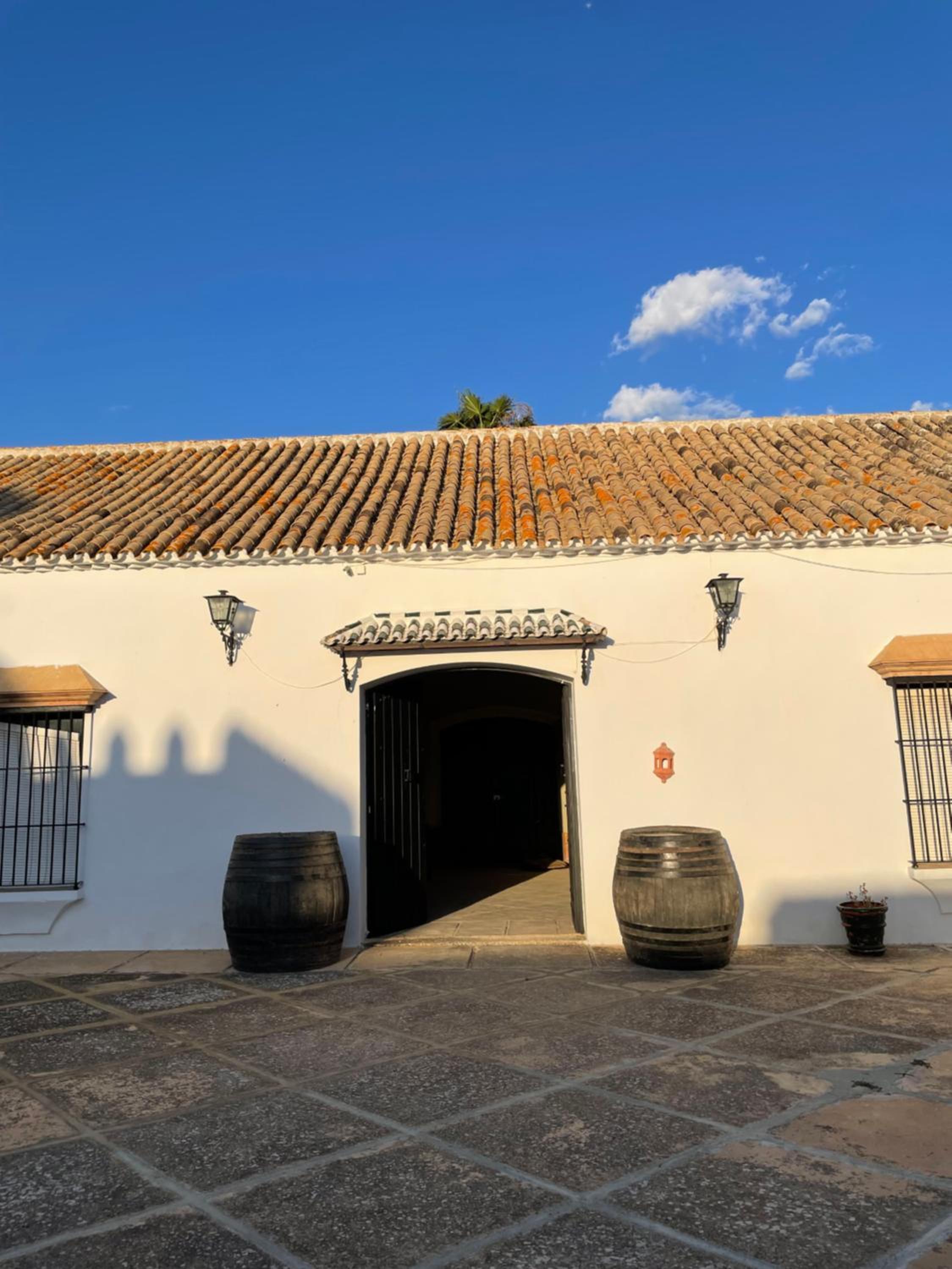 Cortijo Doñana
