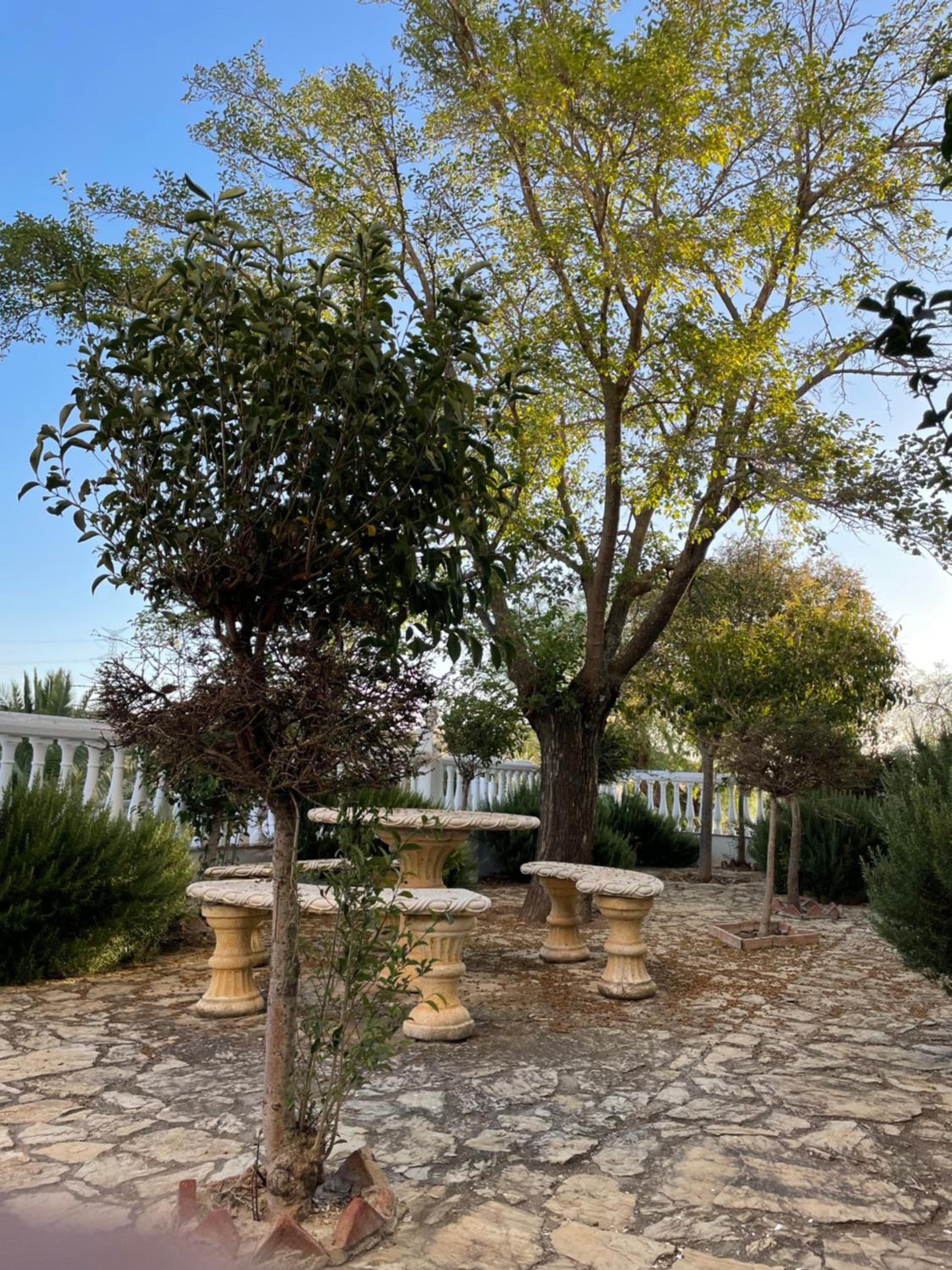 Cortijo Doñana