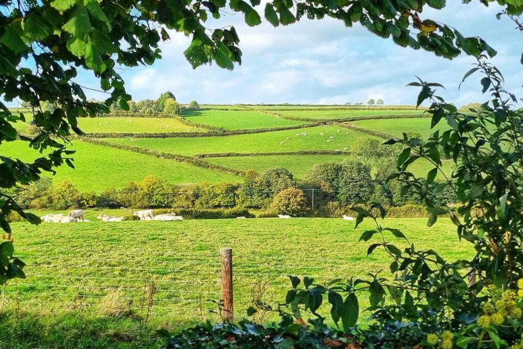 Lovely Little Garden Cottage, Tamar Valley, Cornwall