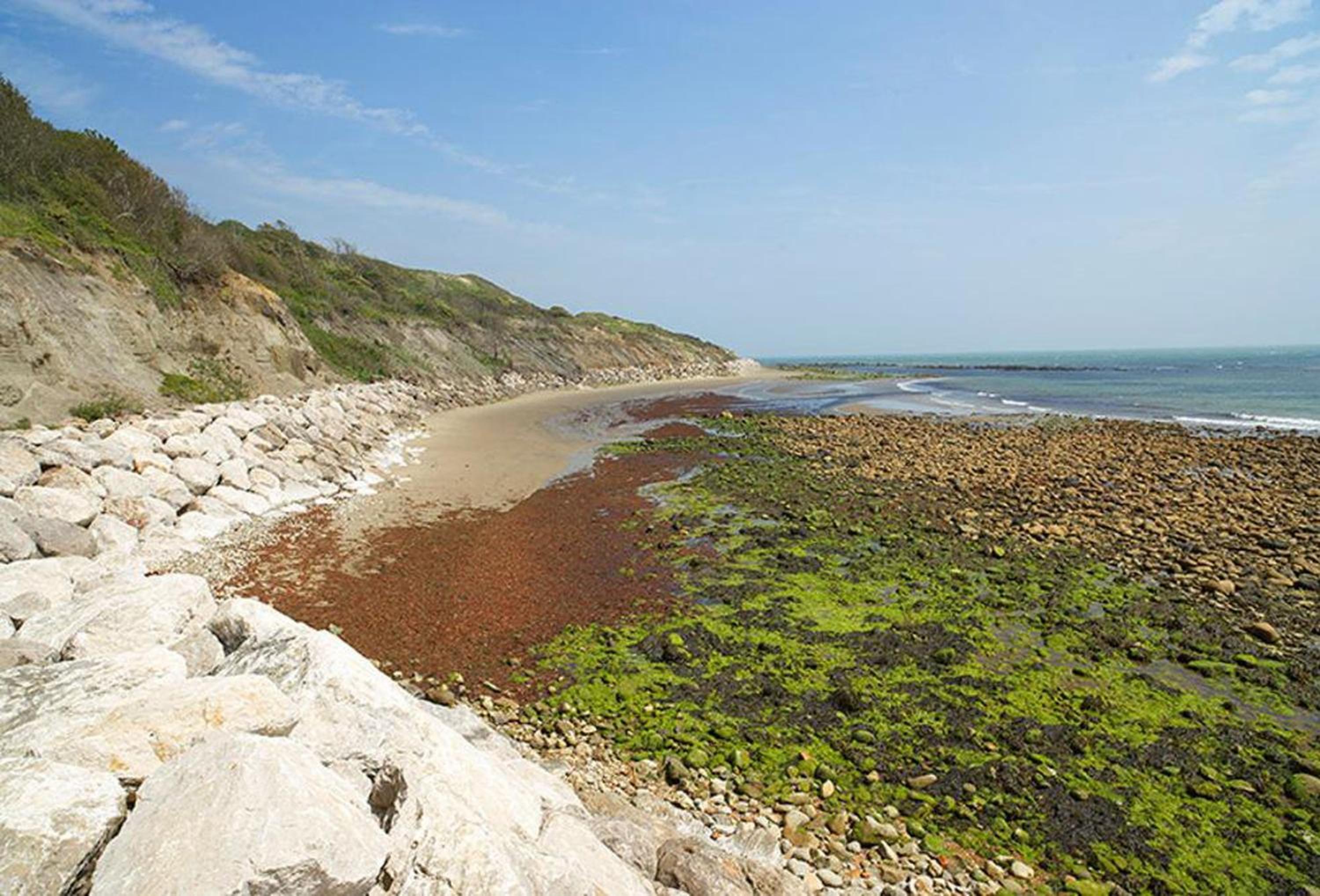 Gurnard Cottage