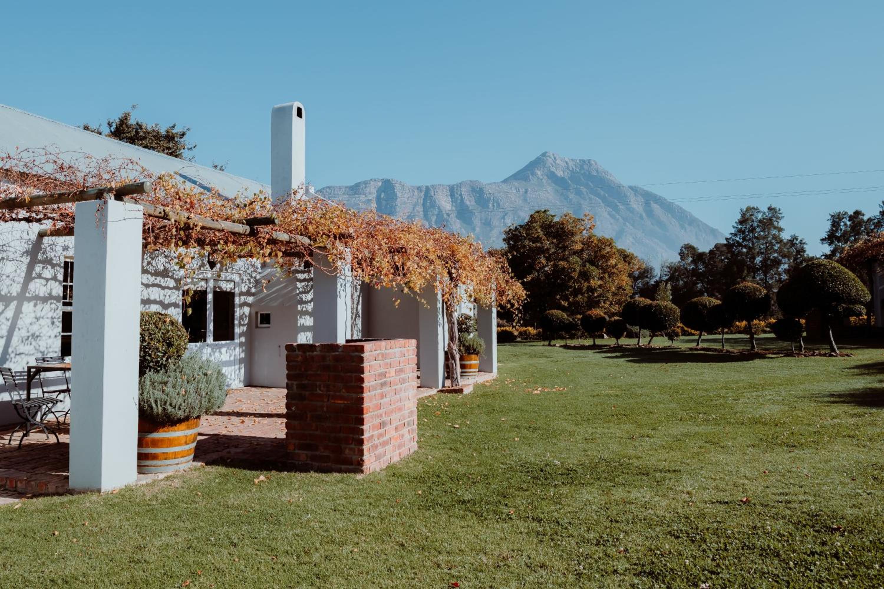 Saronsberg Vineyard Cottages