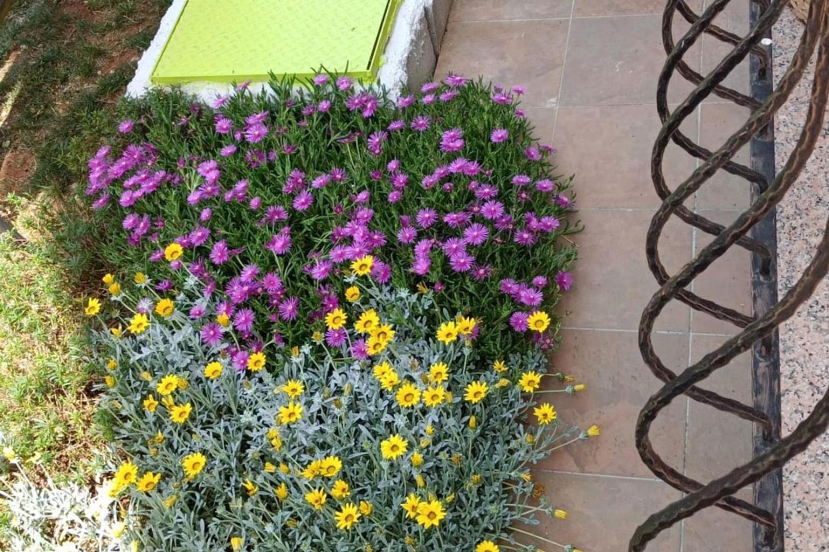 Apartment Fiorita for 4 Persons Poreč close the beach view 5