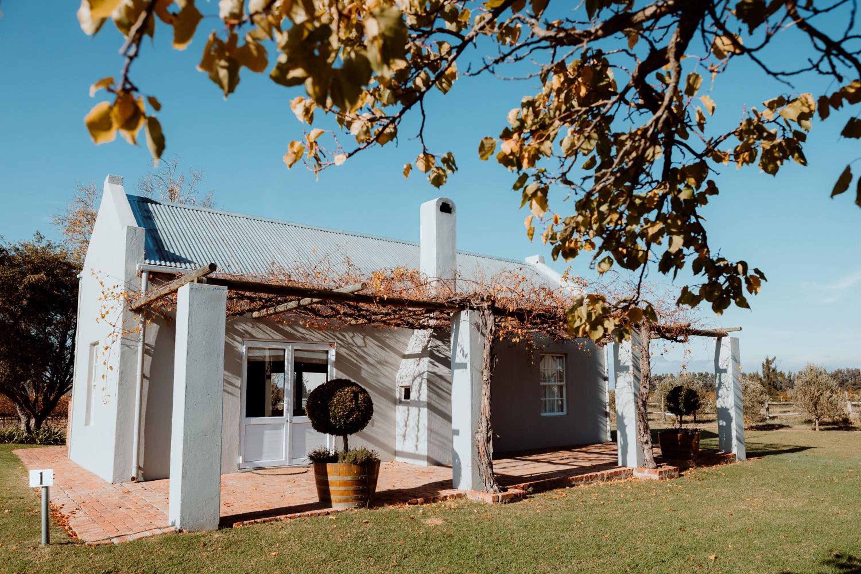 Saronsberg Vineyard Cottages
