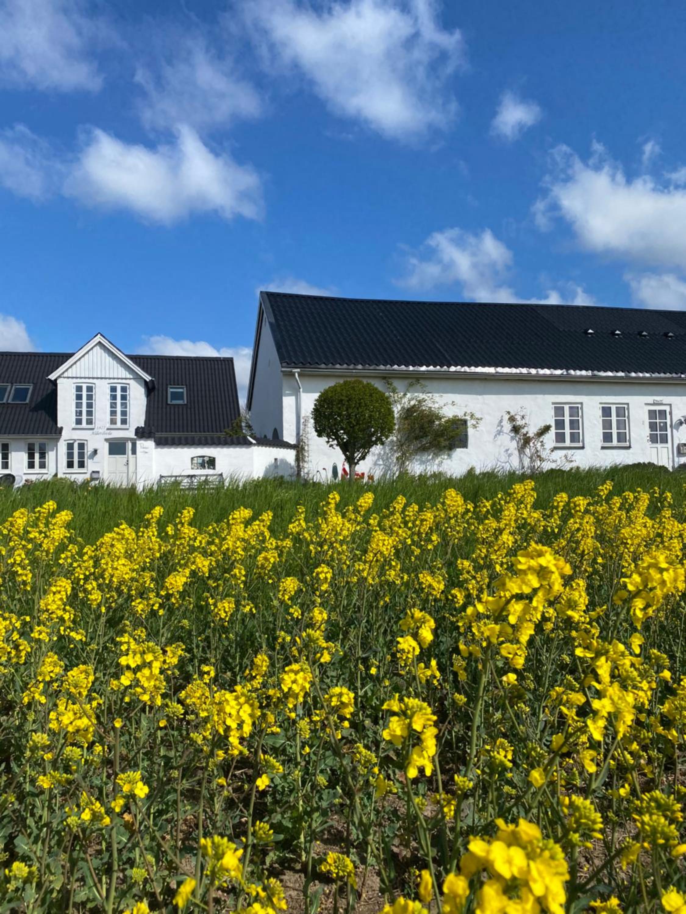 Vejle Golf Apartments