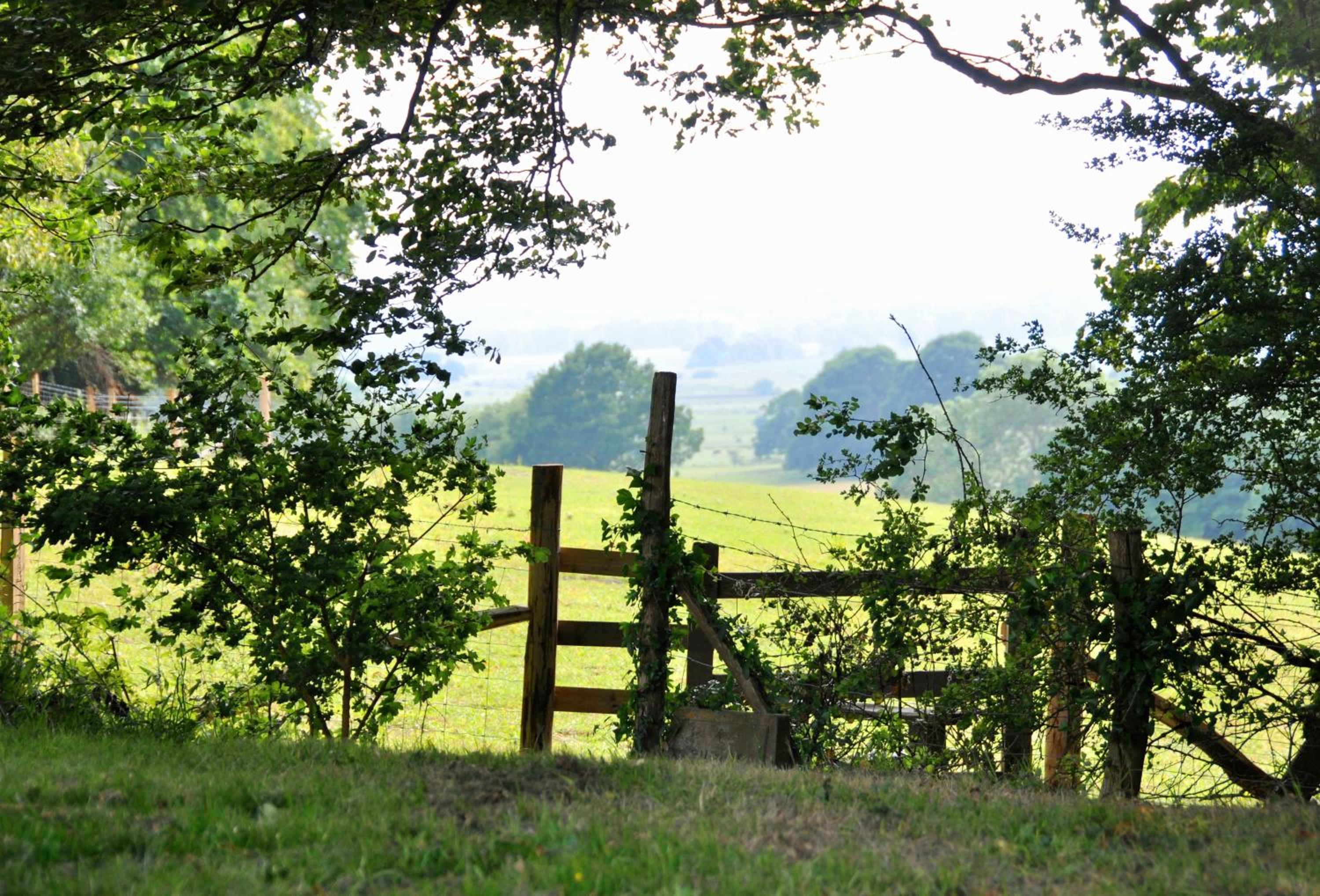 Tufton Croft