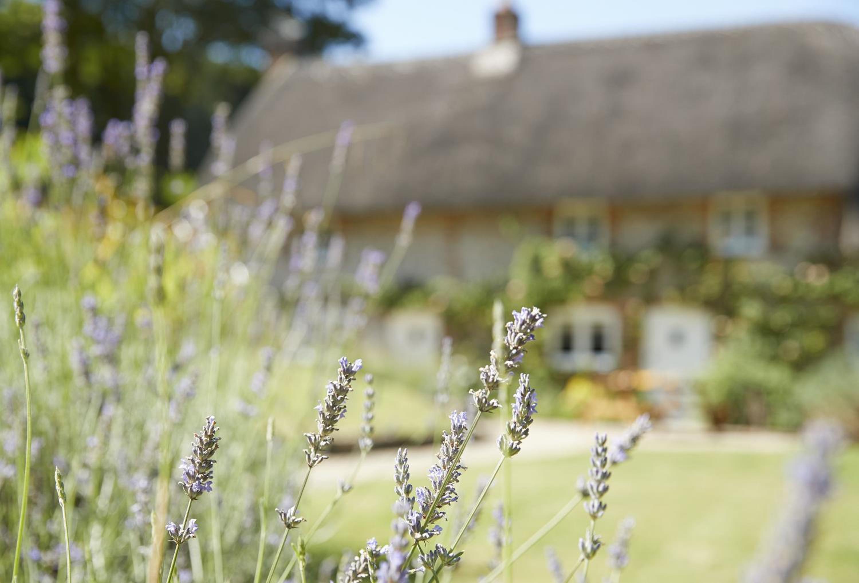Magna Cottage