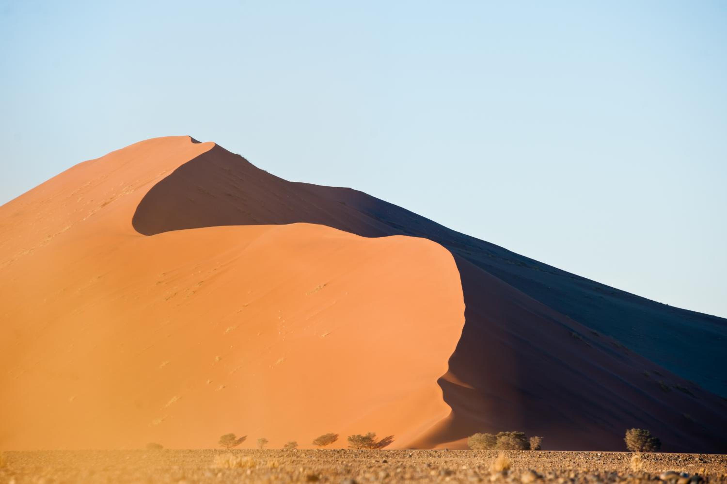 The Desert Grace