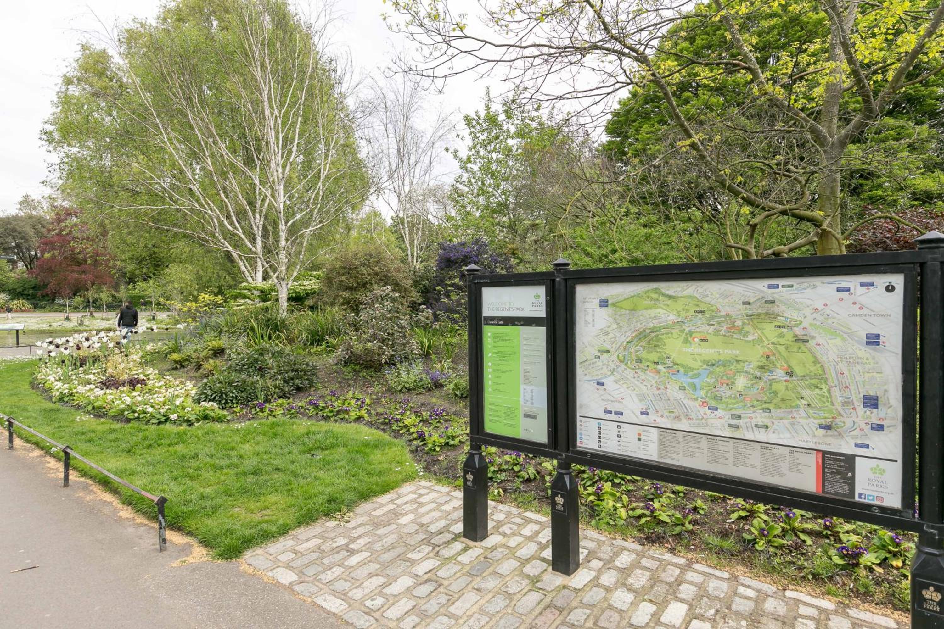 Light filled studio with view of Regents Park
