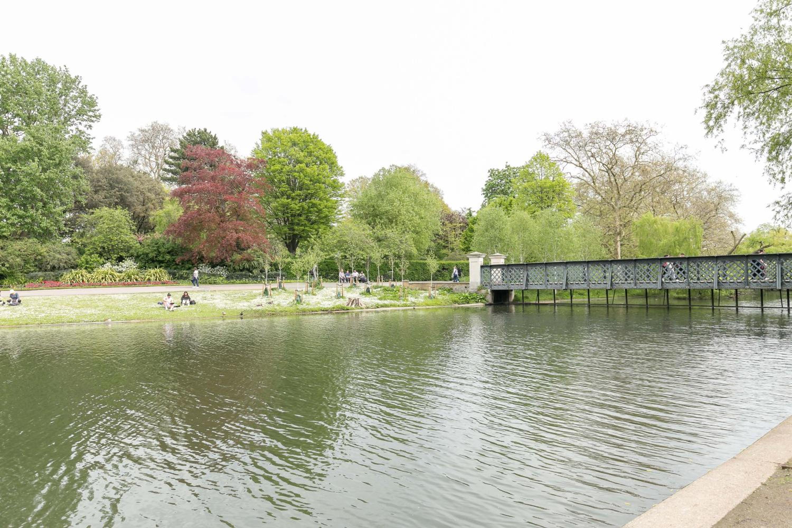 Light filled studio with view of Regents Park