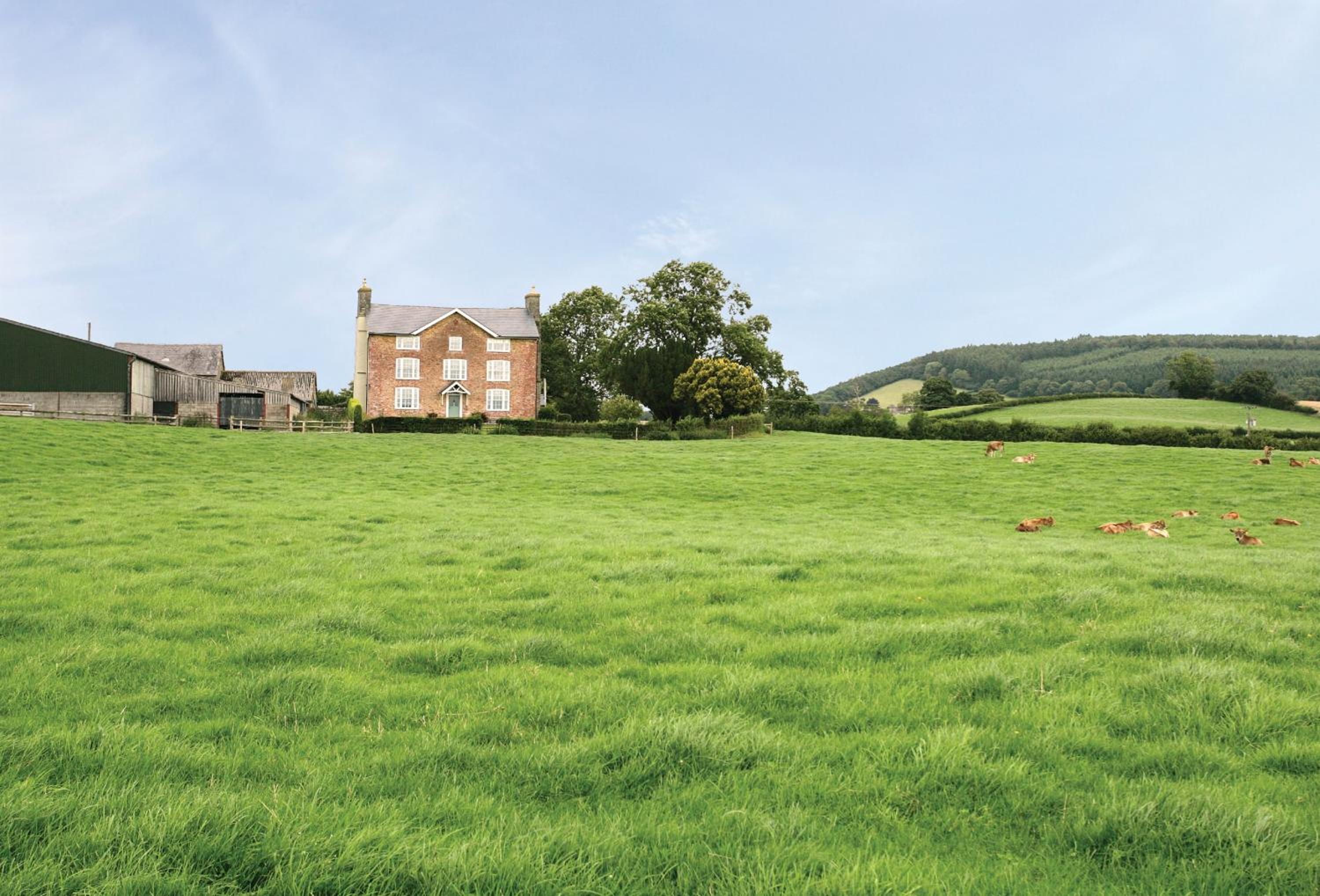 Upper Mowley