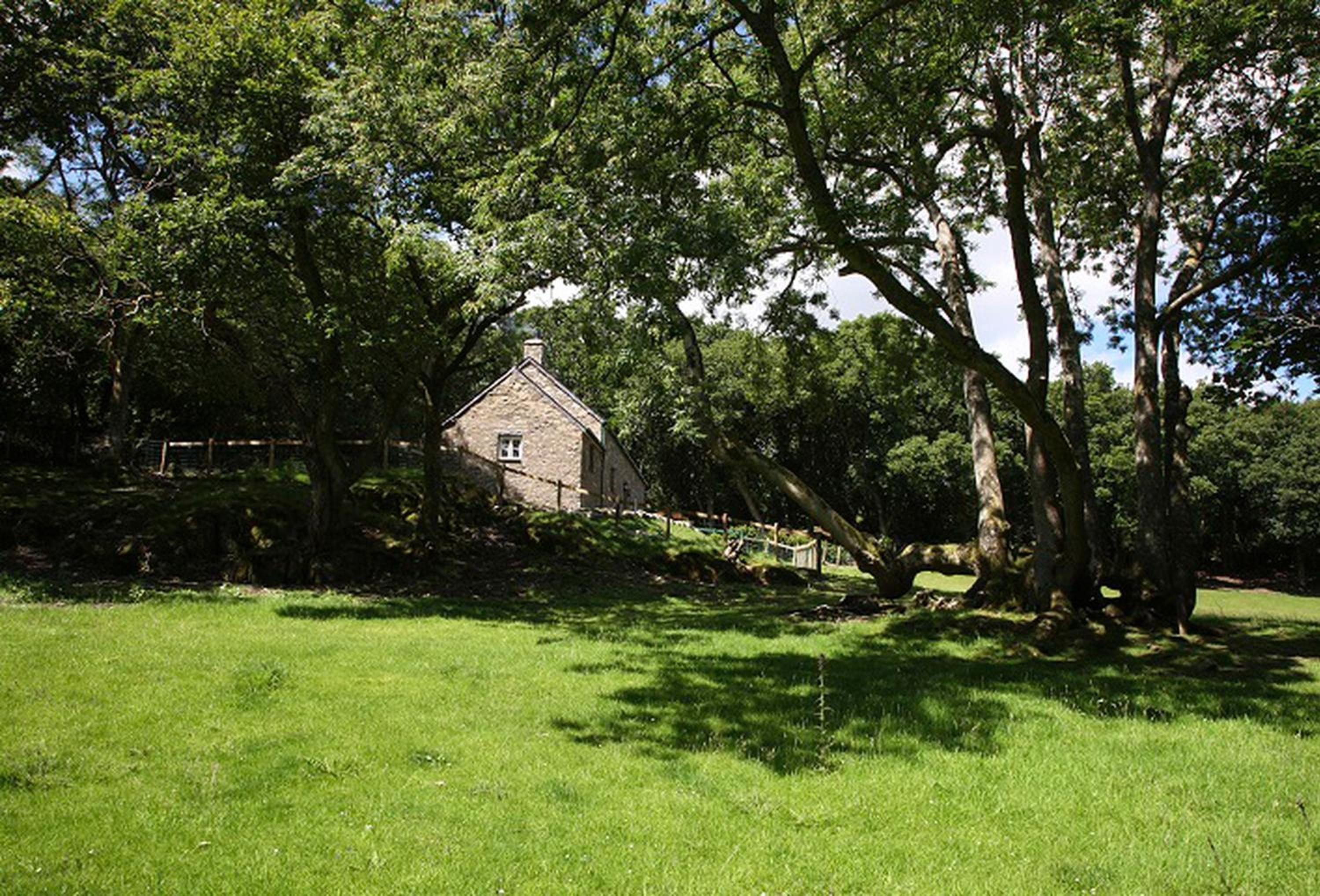 Tyddyn Derwen