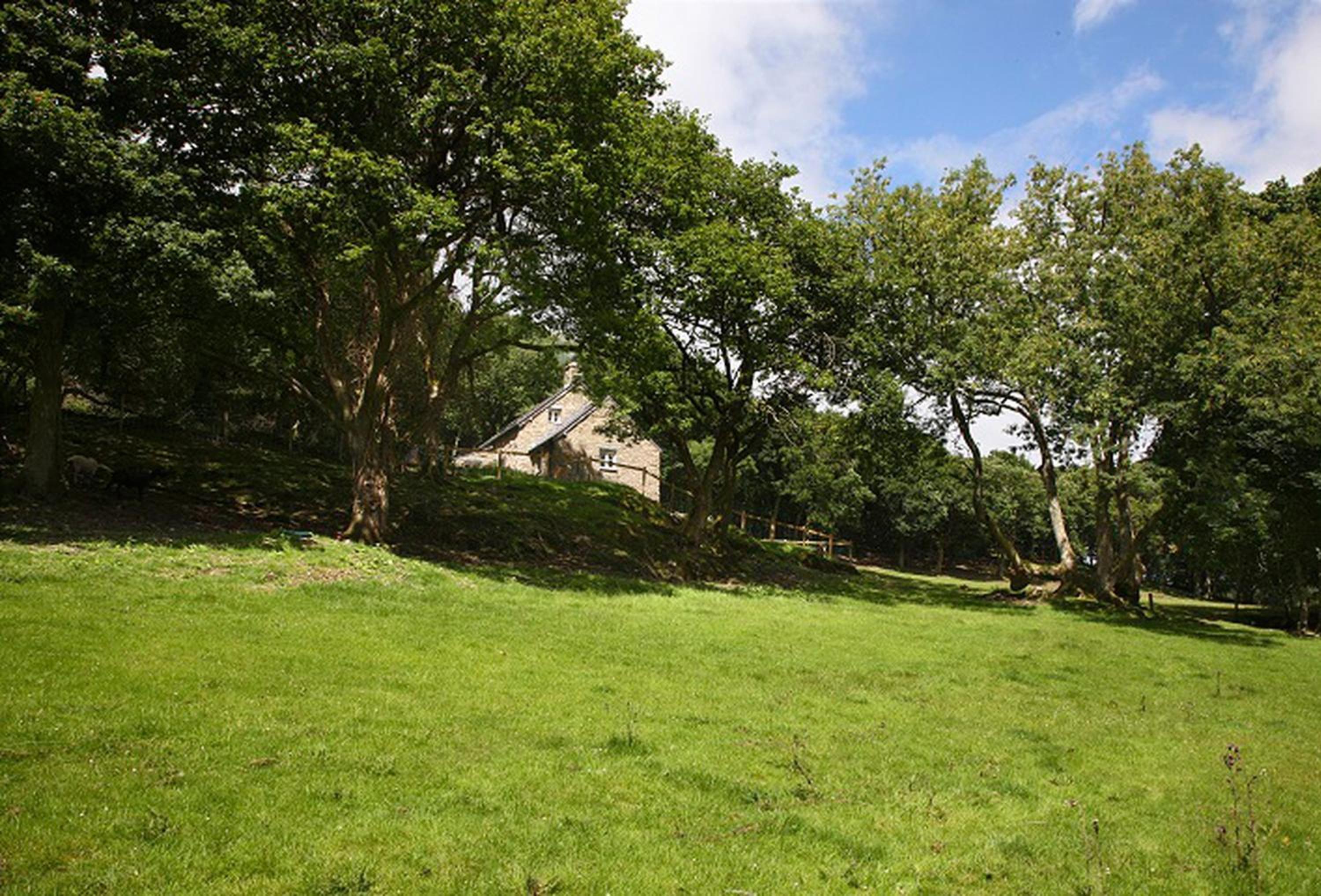 Tyddyn Derwen