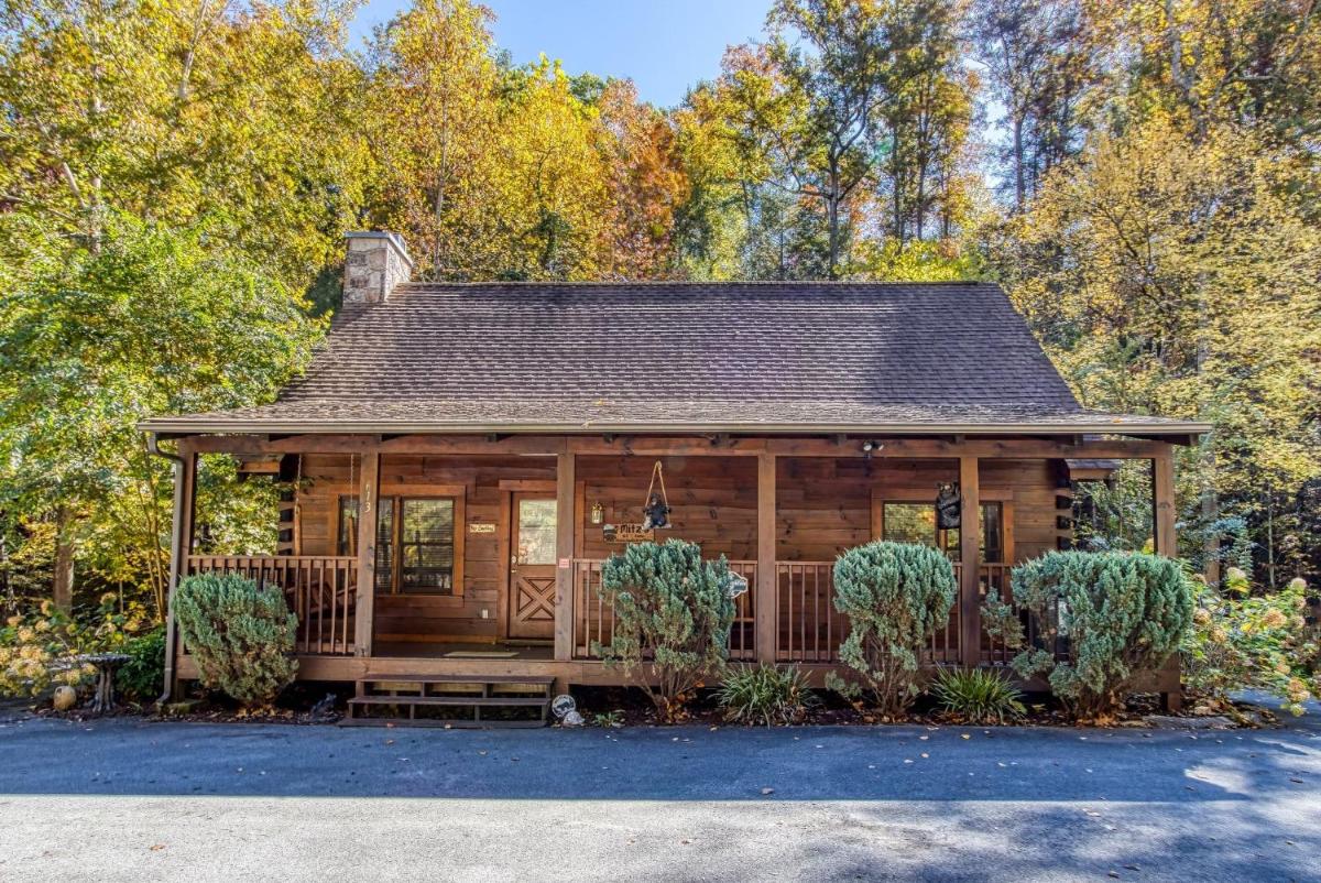 ER256 - Smoky Mountain Top cabin view 2