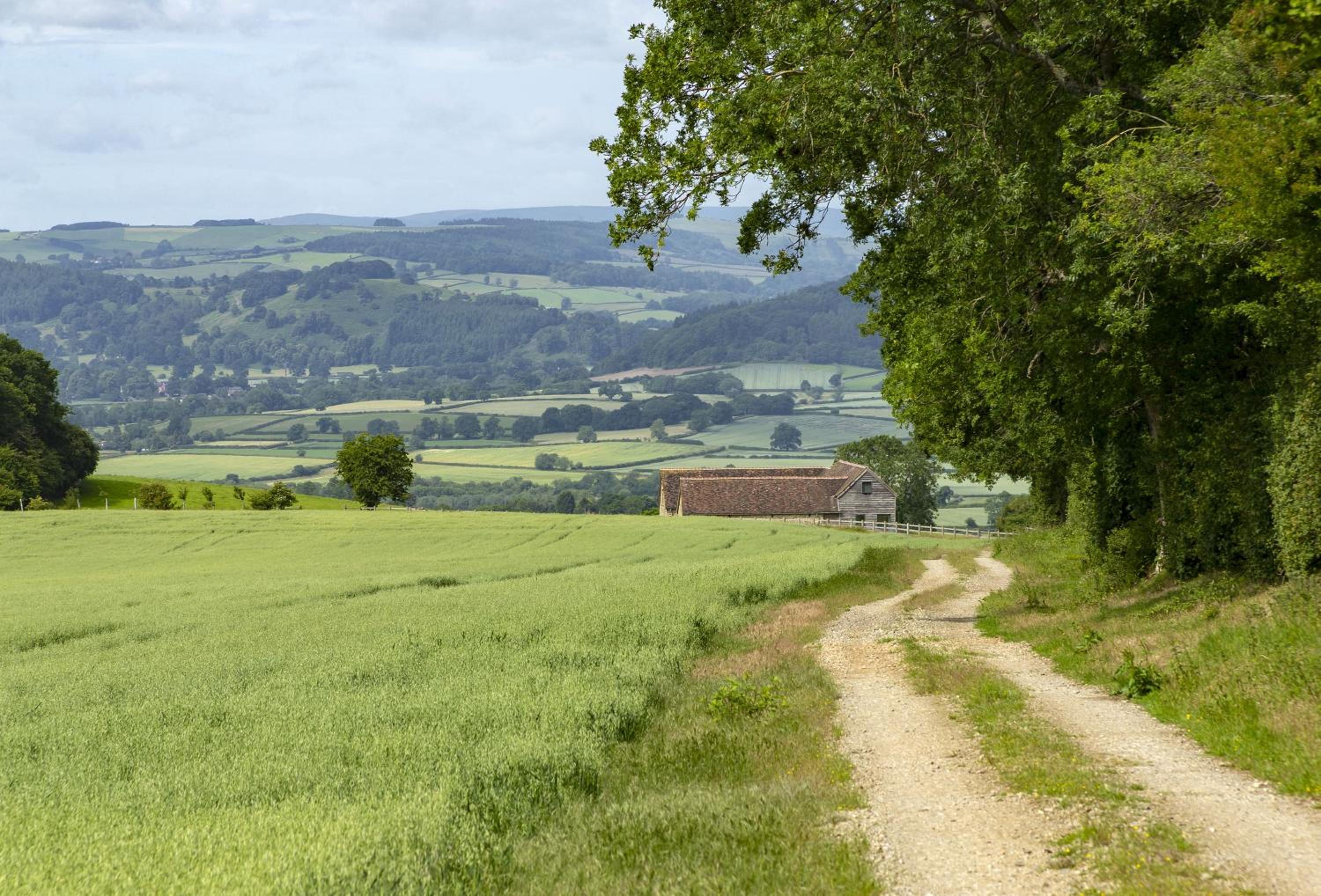 Wassell Barn