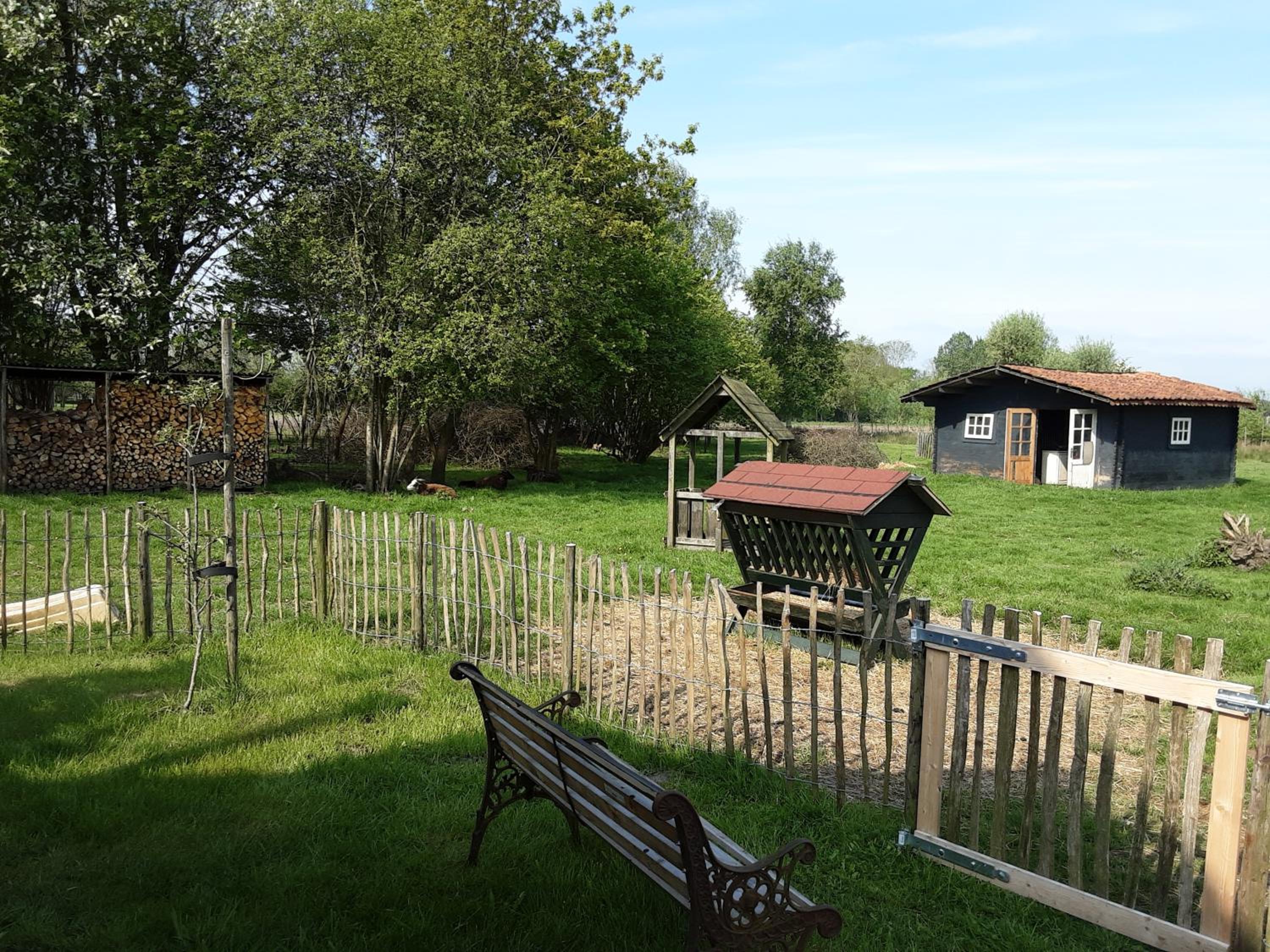 B&B De Boeren Zwaluw view 5