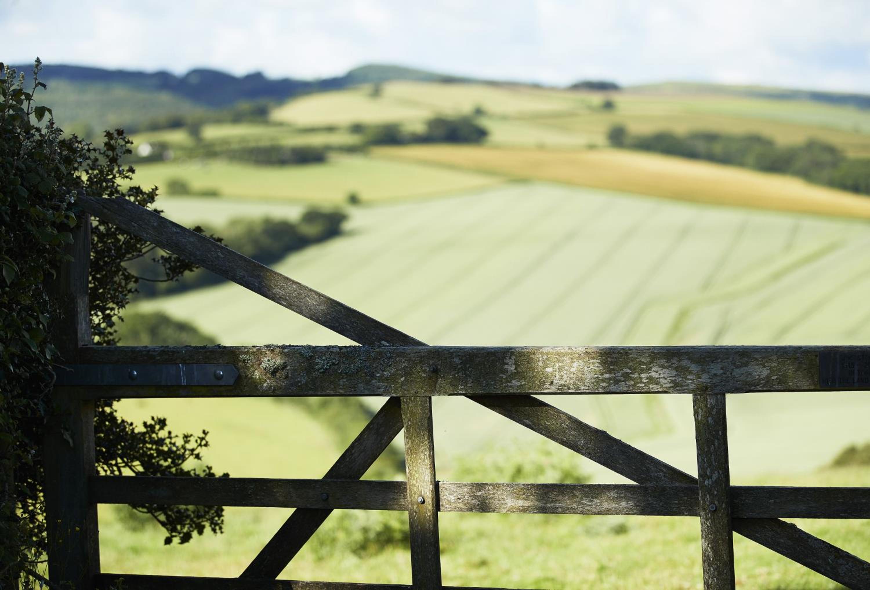 Teign Vale