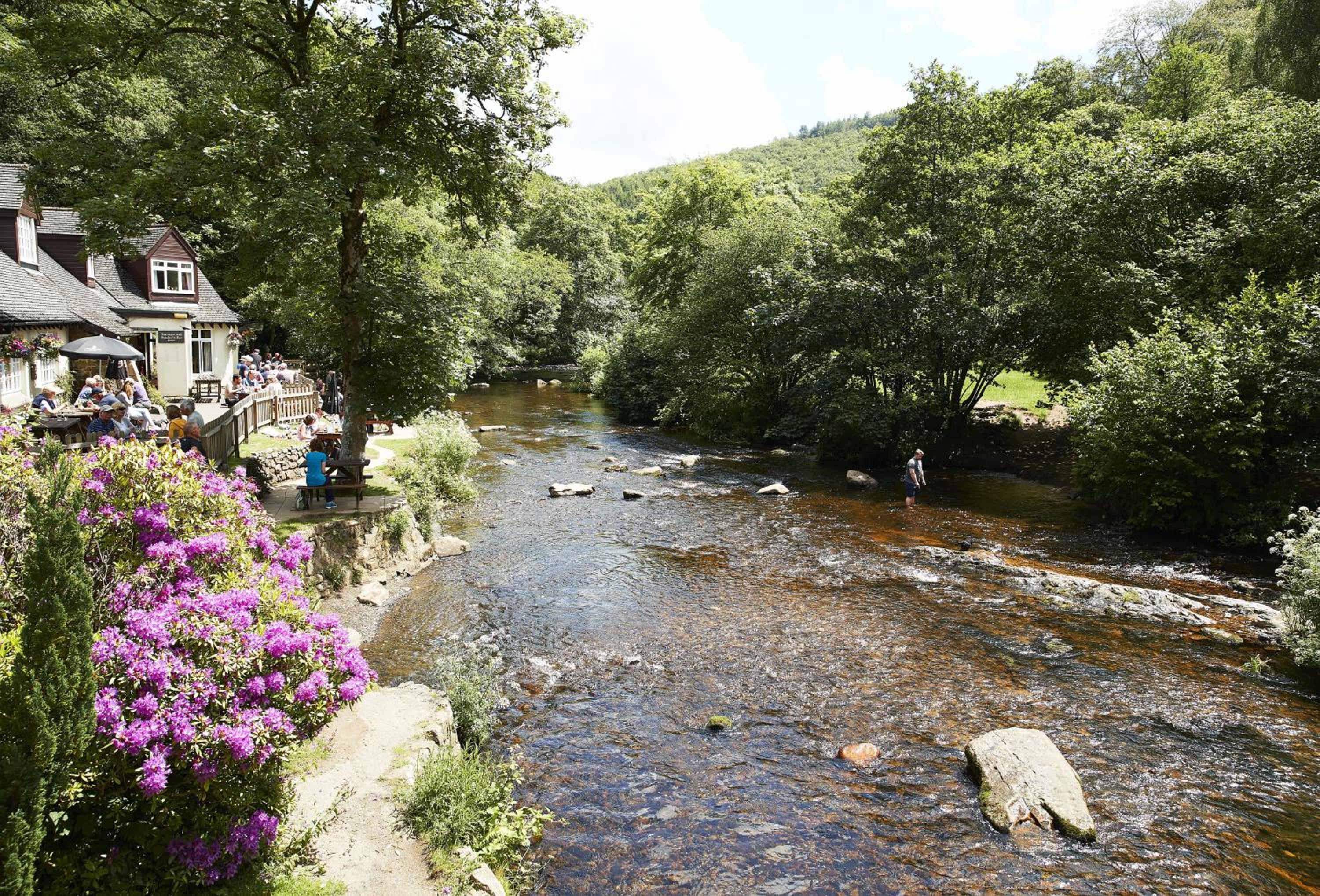 Teign Vale