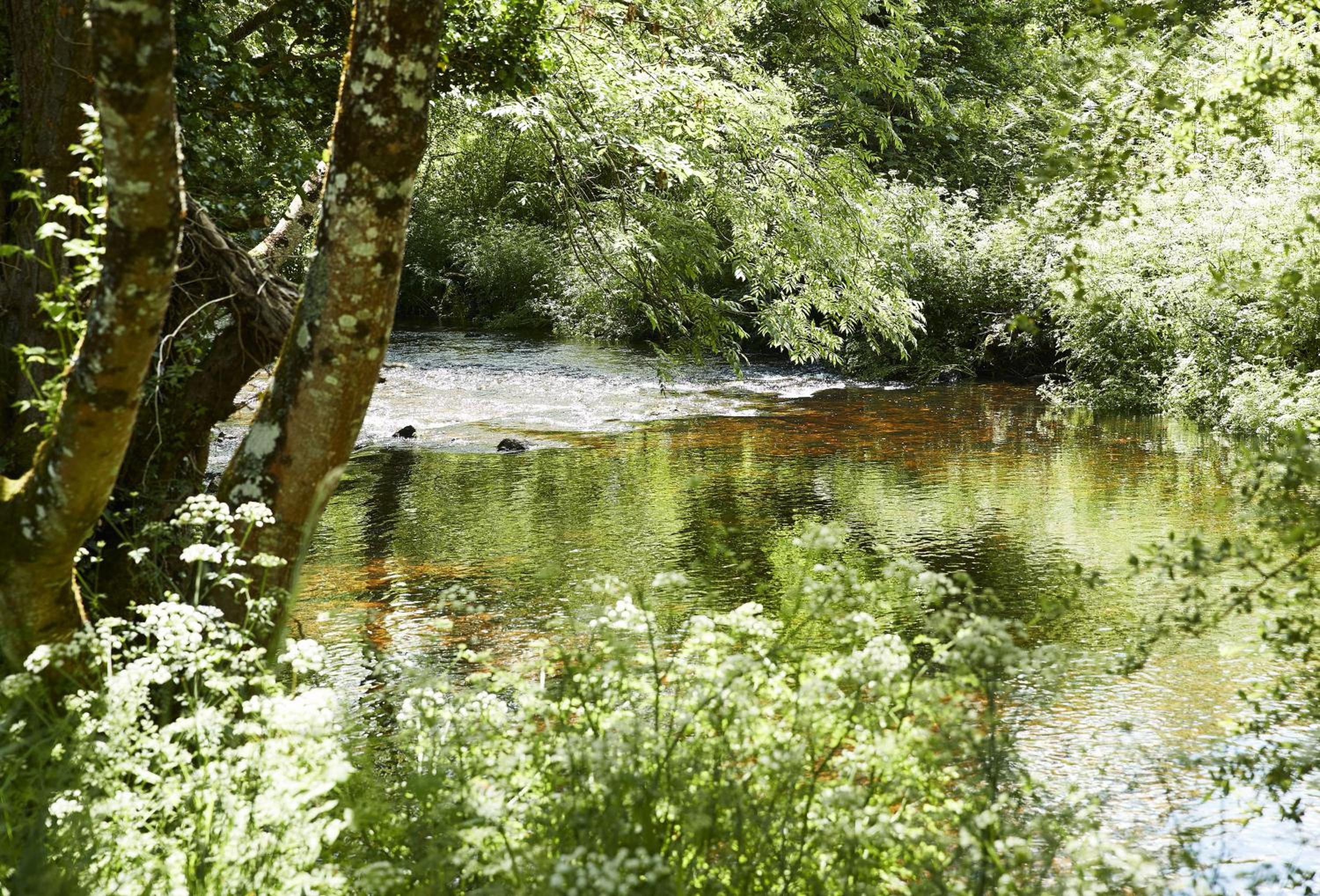 Teign Vale