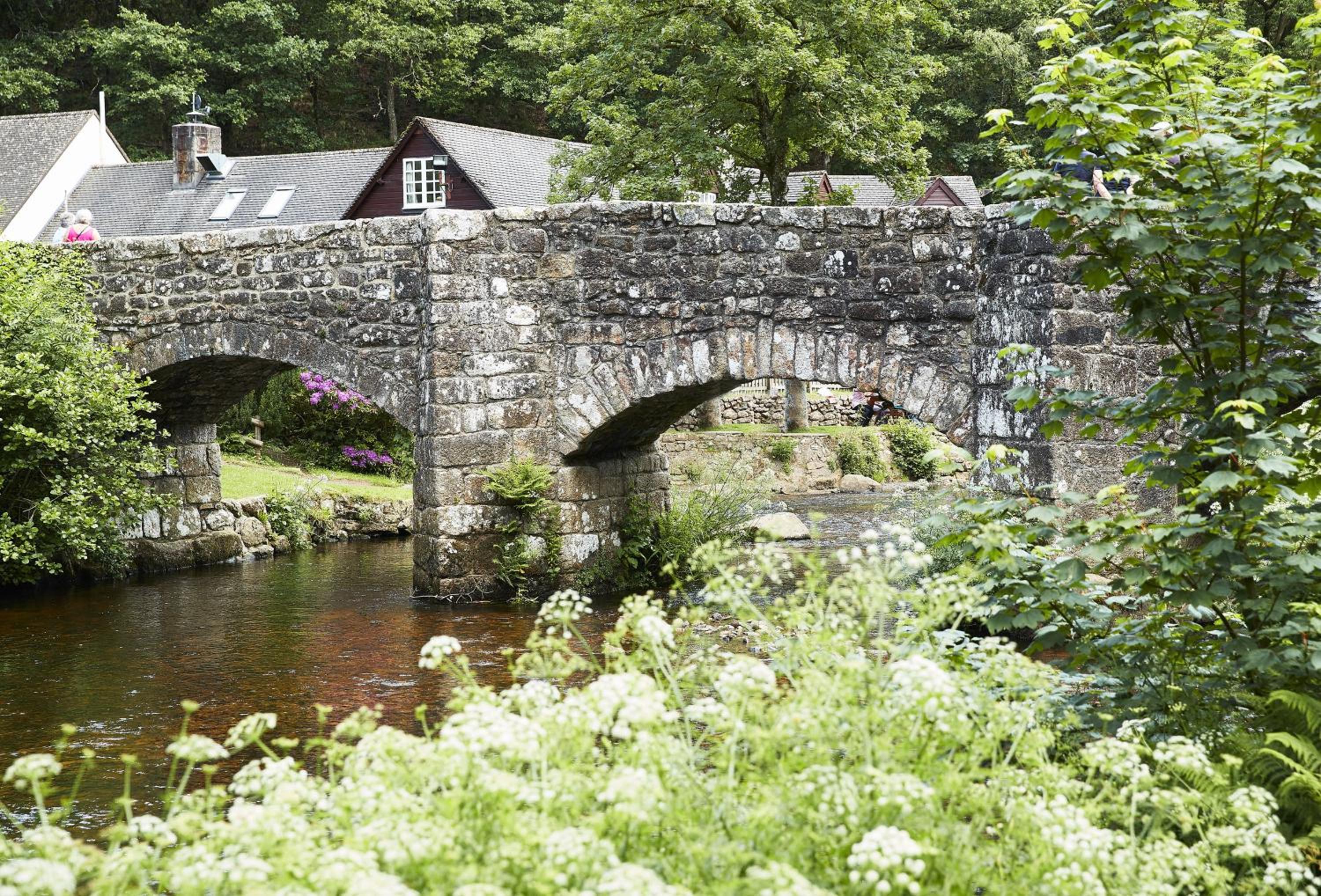 Teign Vale