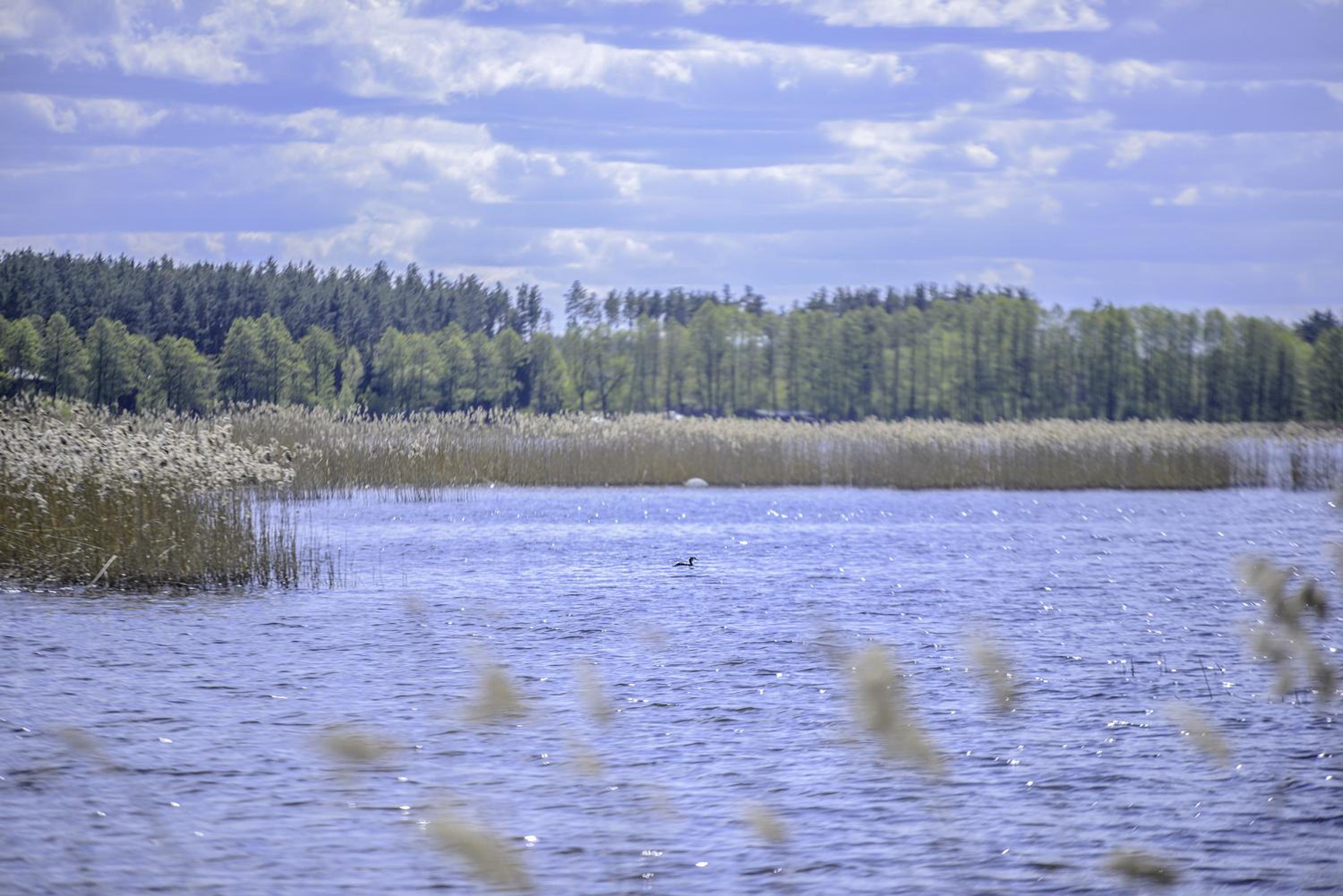 Photo 33