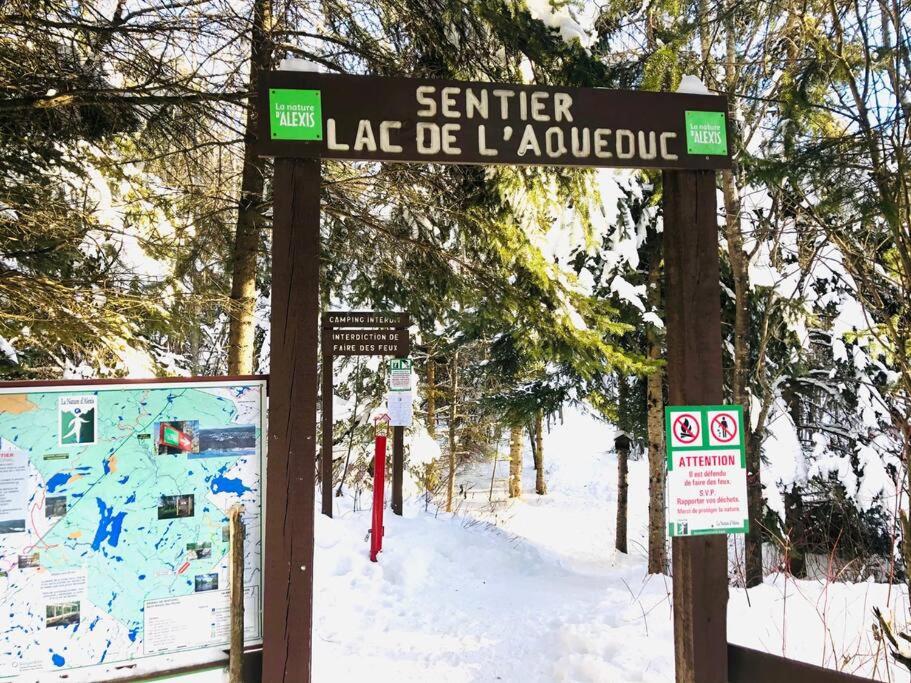Chalets NABU La Sacacomie - Rivière - Billard