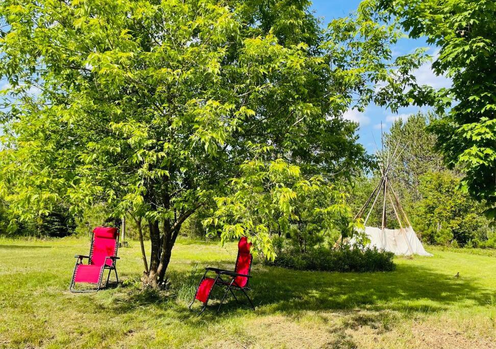 Chalets NABU La Sacacomie - Rivière - Billard