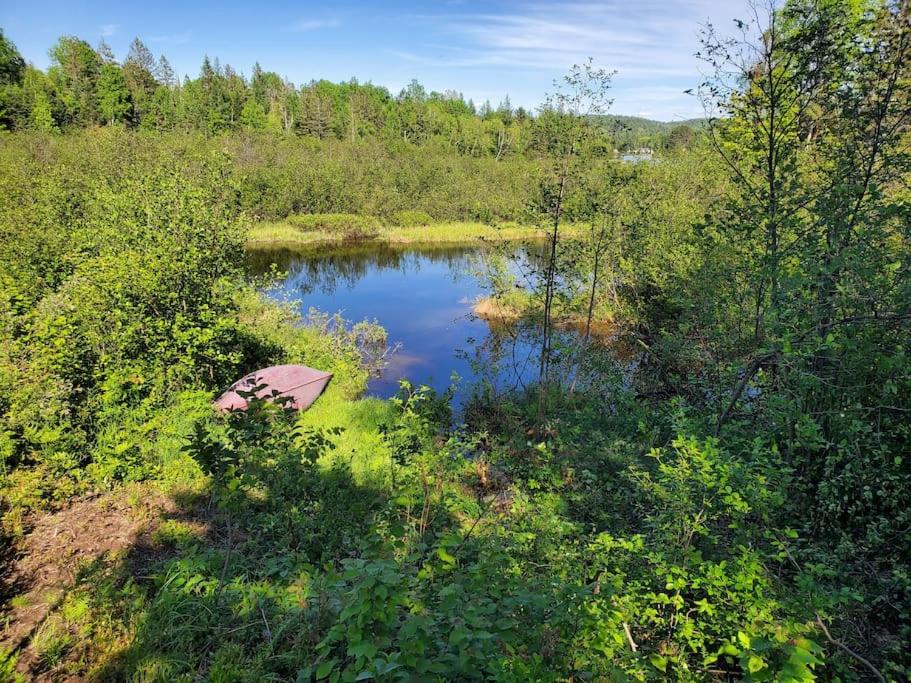 Chalets NABU La Sacacomie - Rivière - Billard