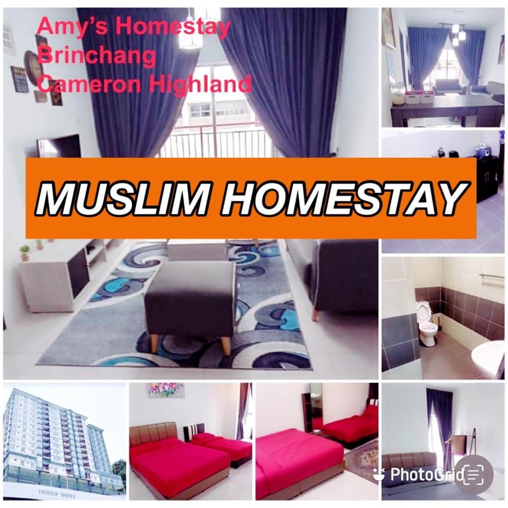 Amy Homestay photo 1