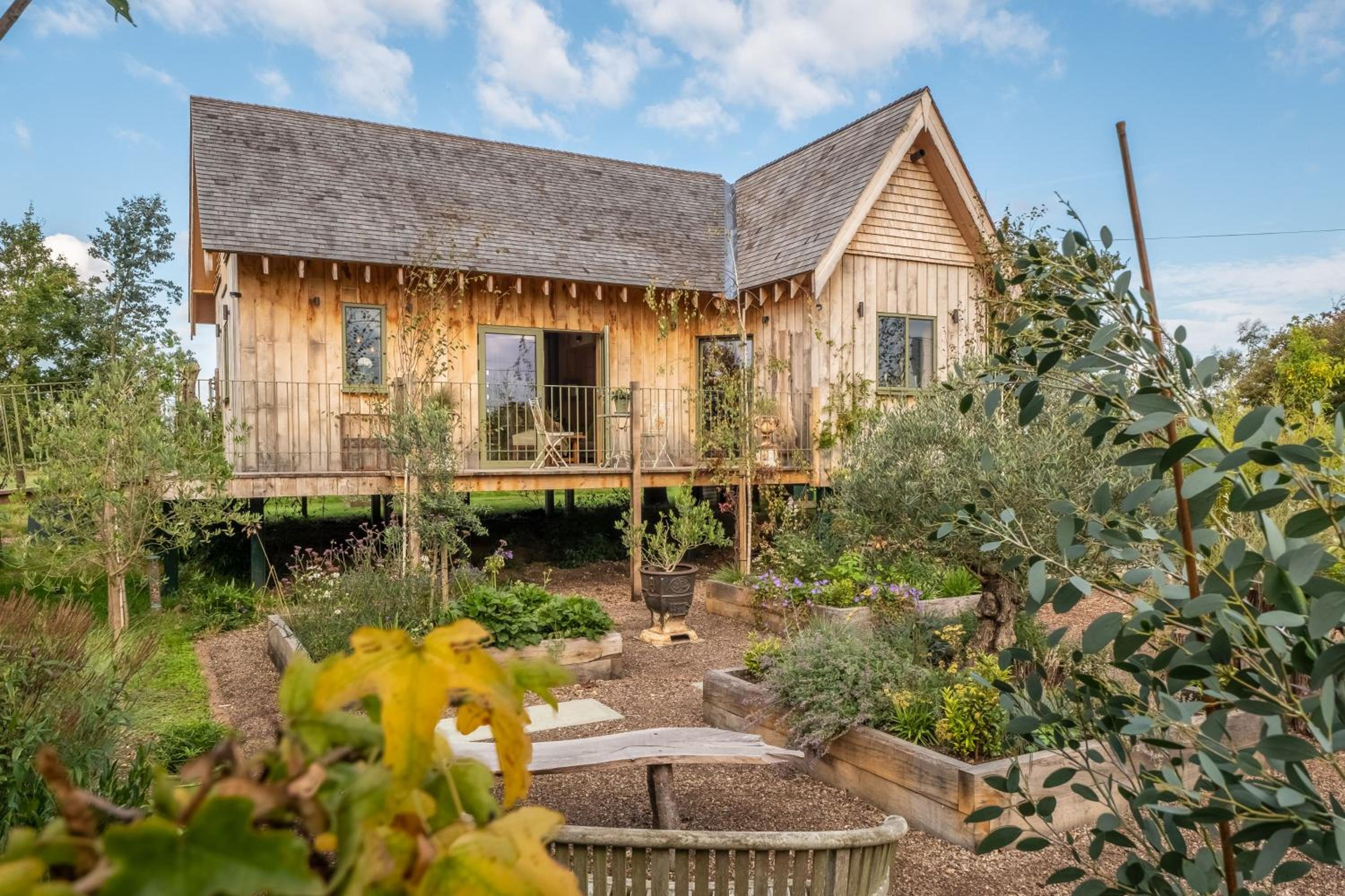 Olive Tree House