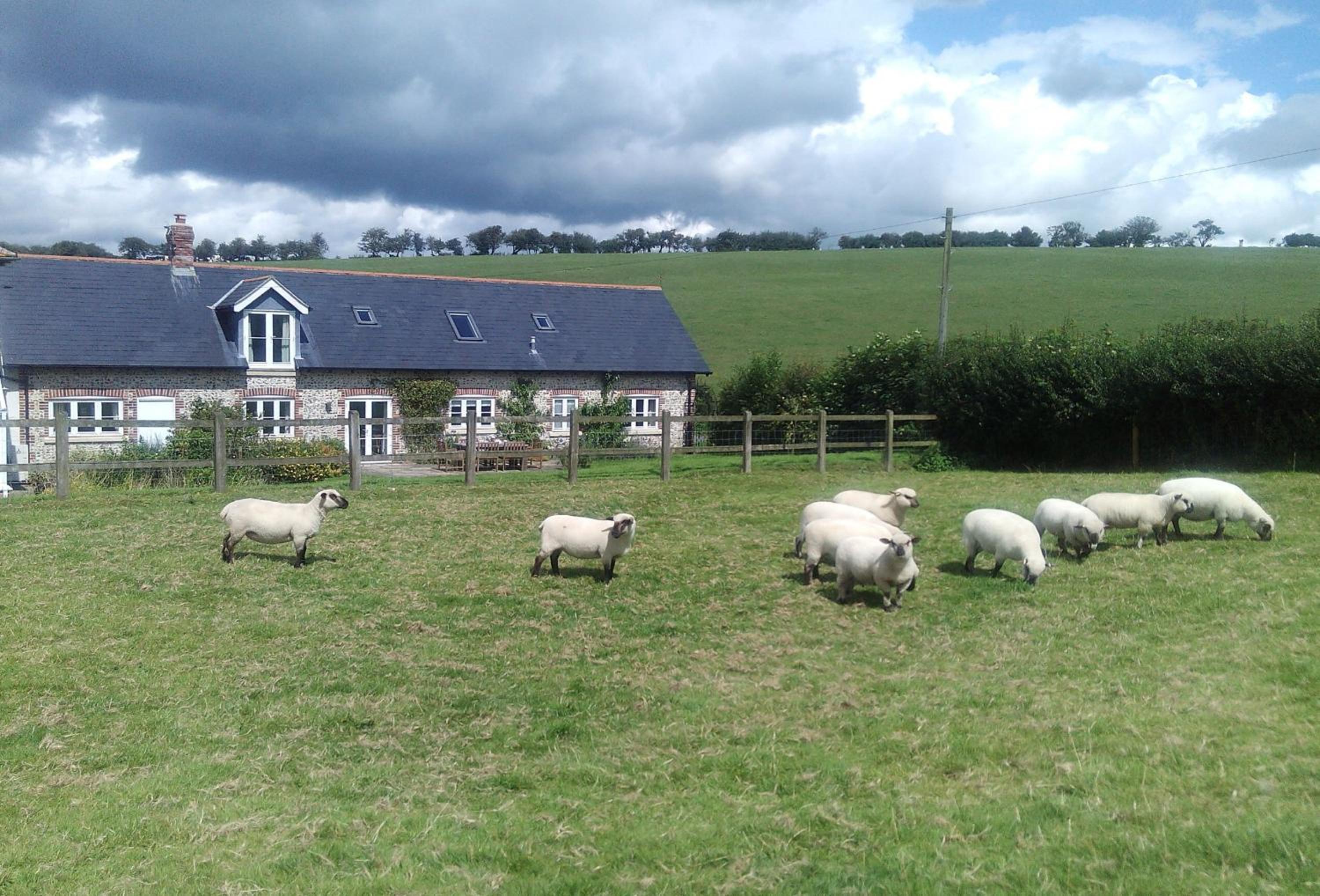 Rampisham Hill Farm Barn view 2