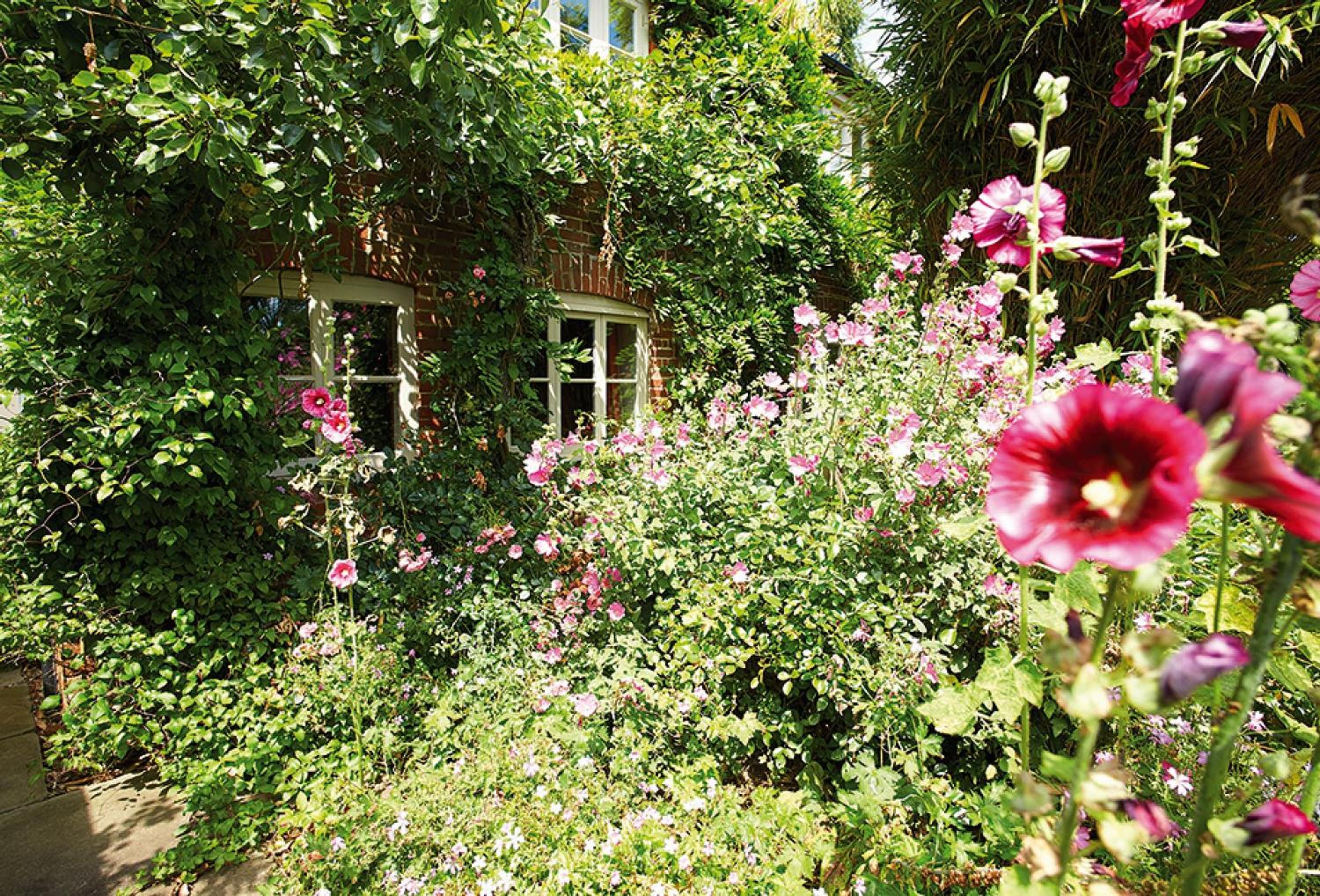 Pear Tree Cottage Norfolk view 3