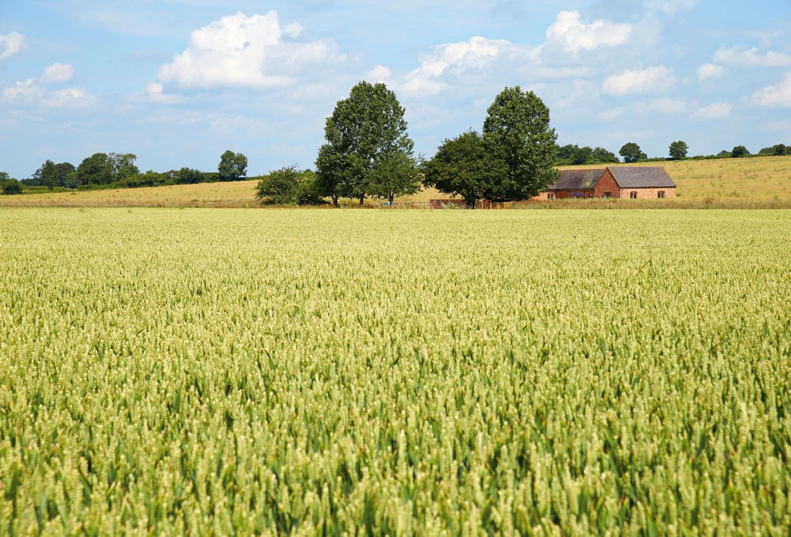 Furlong Barn