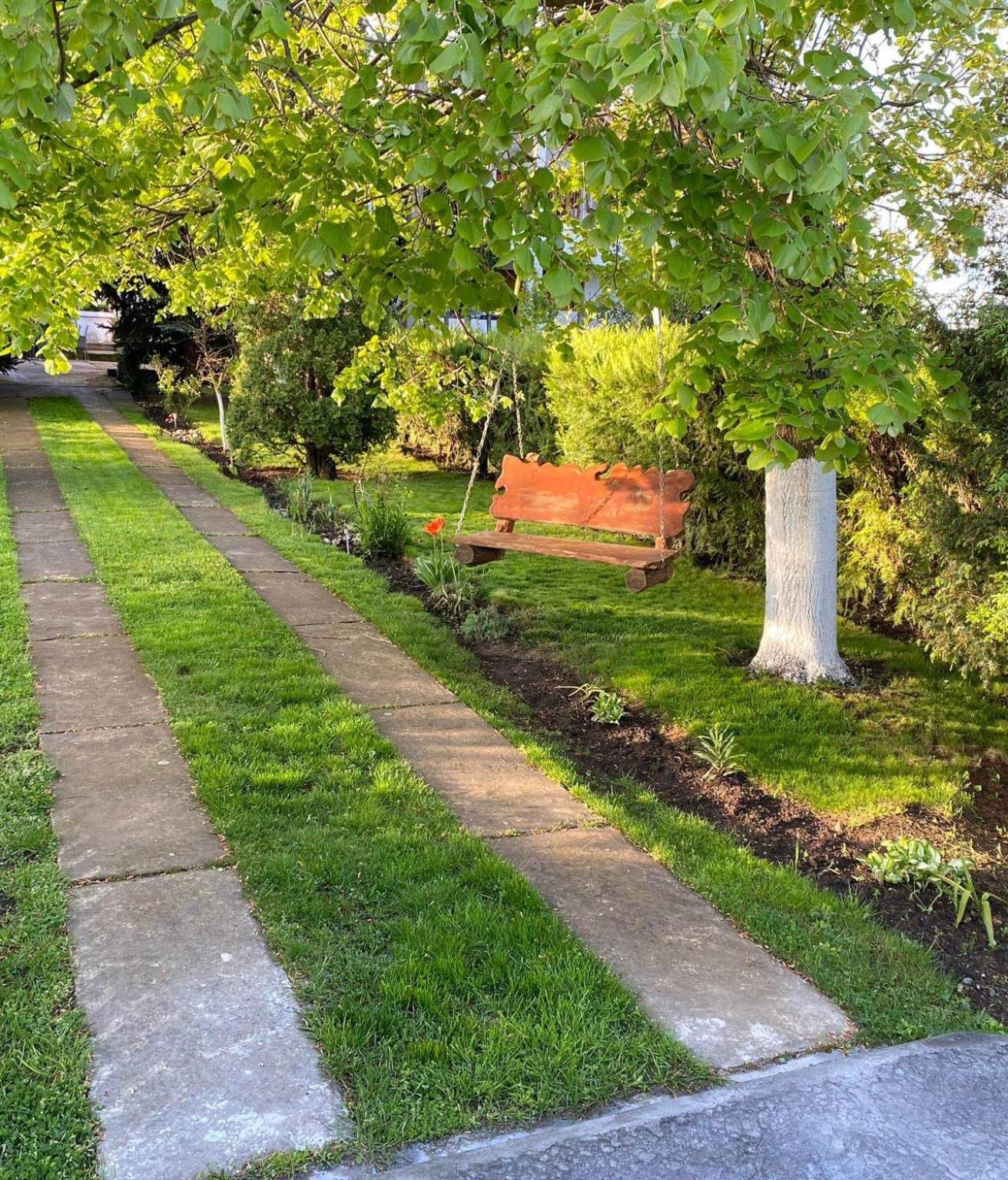 Photo 47