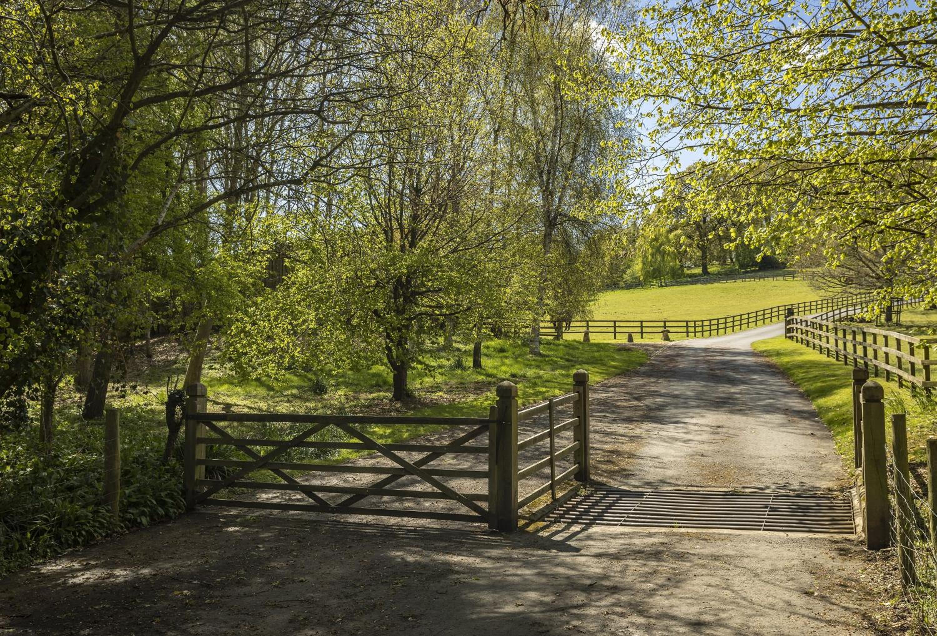 Photo 26