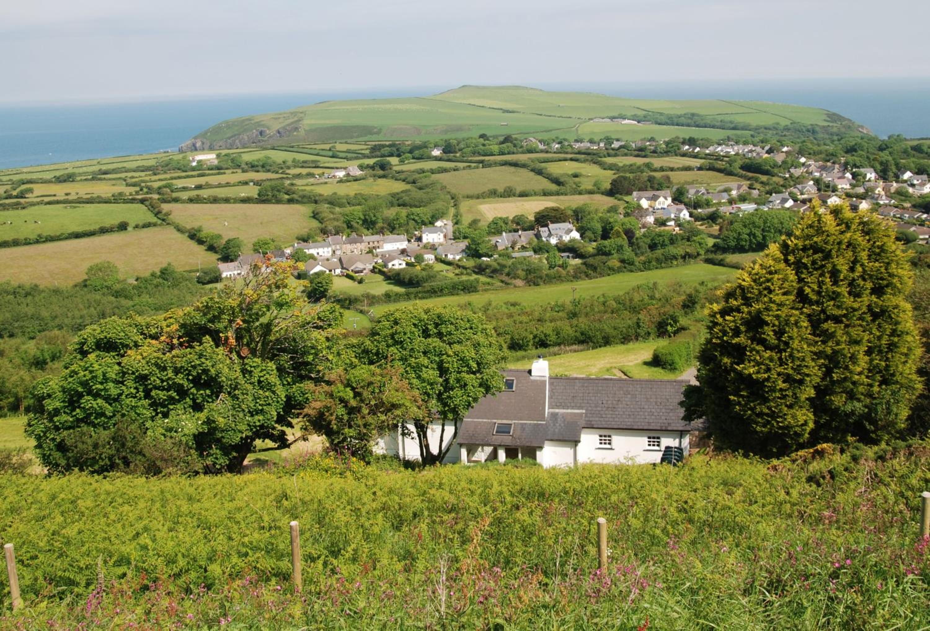 Rhiwelli