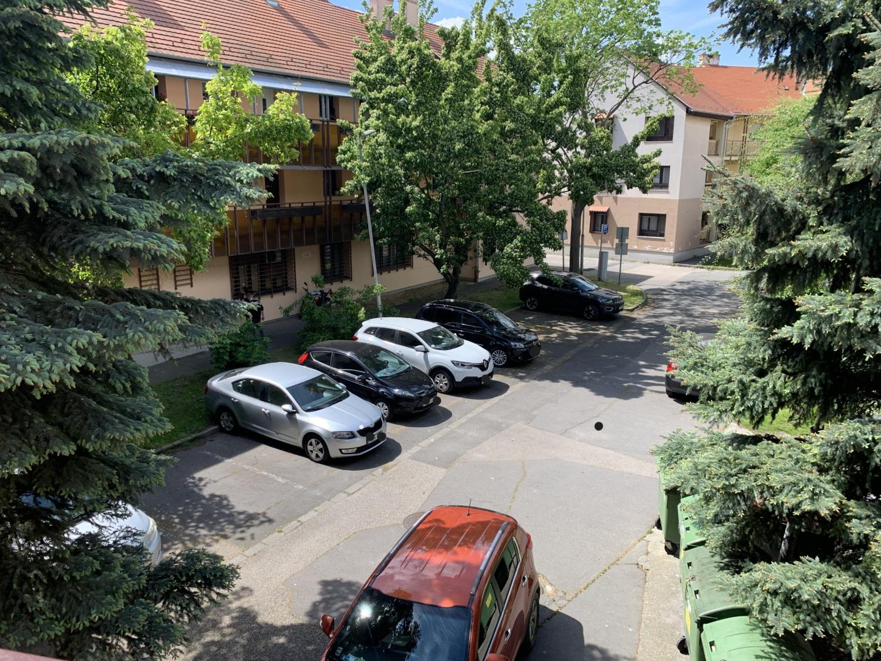 Photo 31