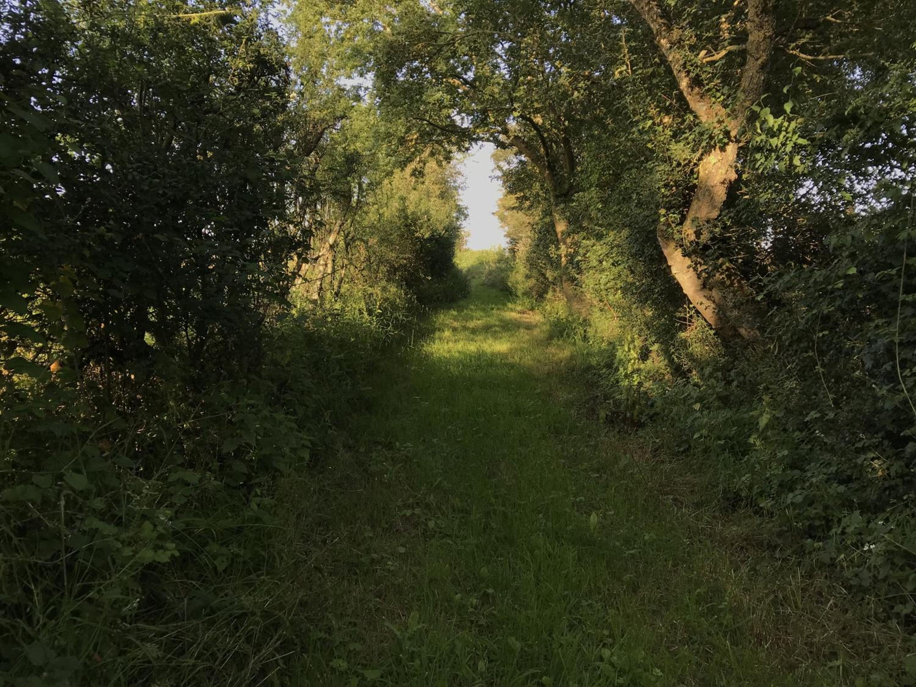 Photo 18