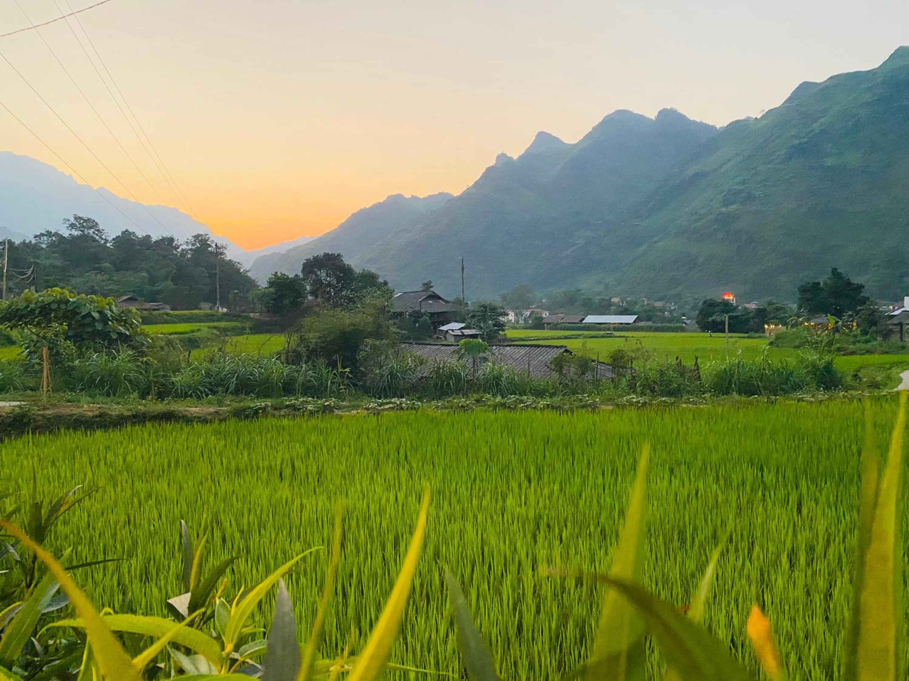 Du Gia Field View Homestay