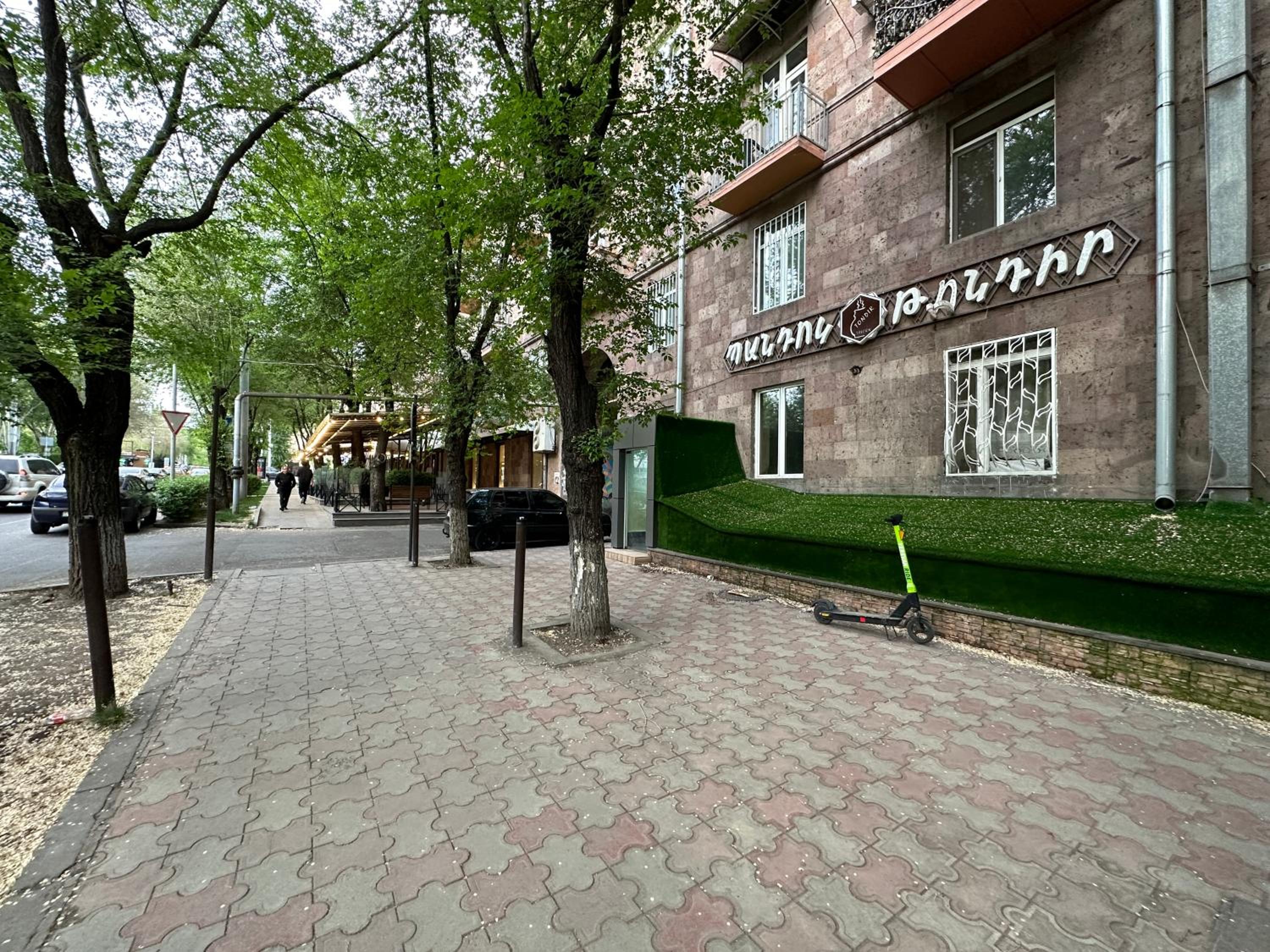 Aleq Manukyan street, 1 bedroom New Euro renovated, Sunny apartment AL777
