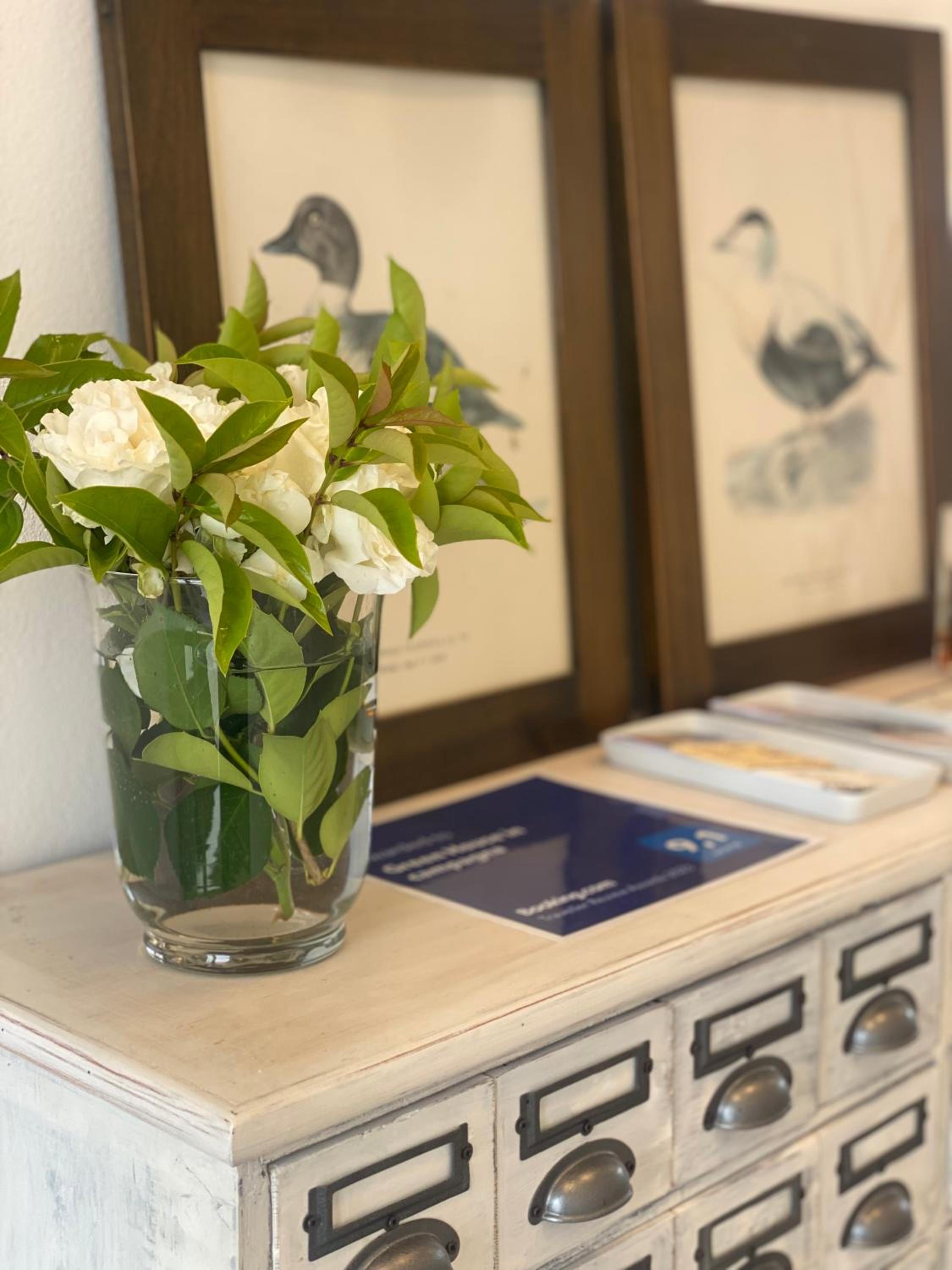 Green House in campagna - Property Image 84