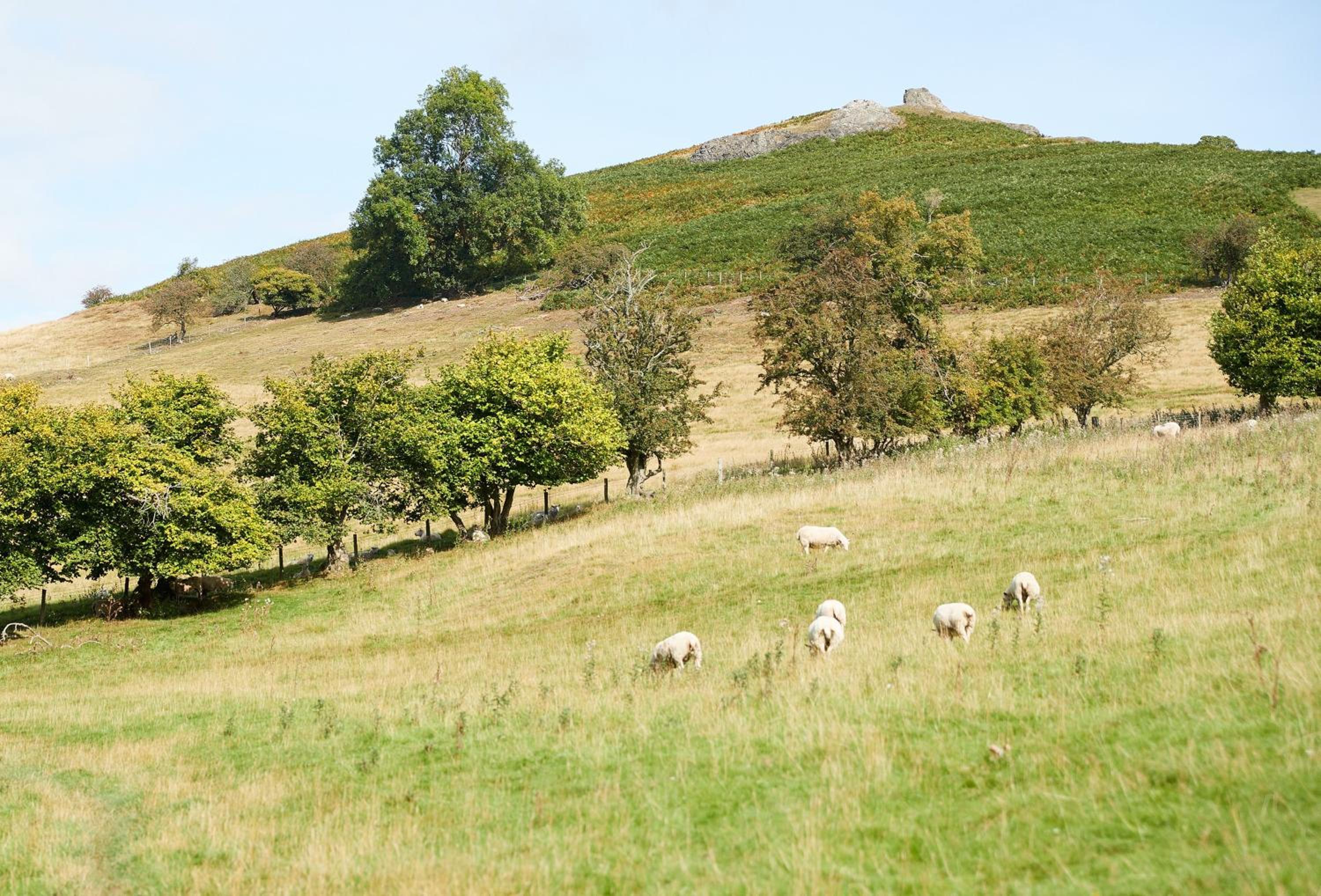 Unconformity Barn