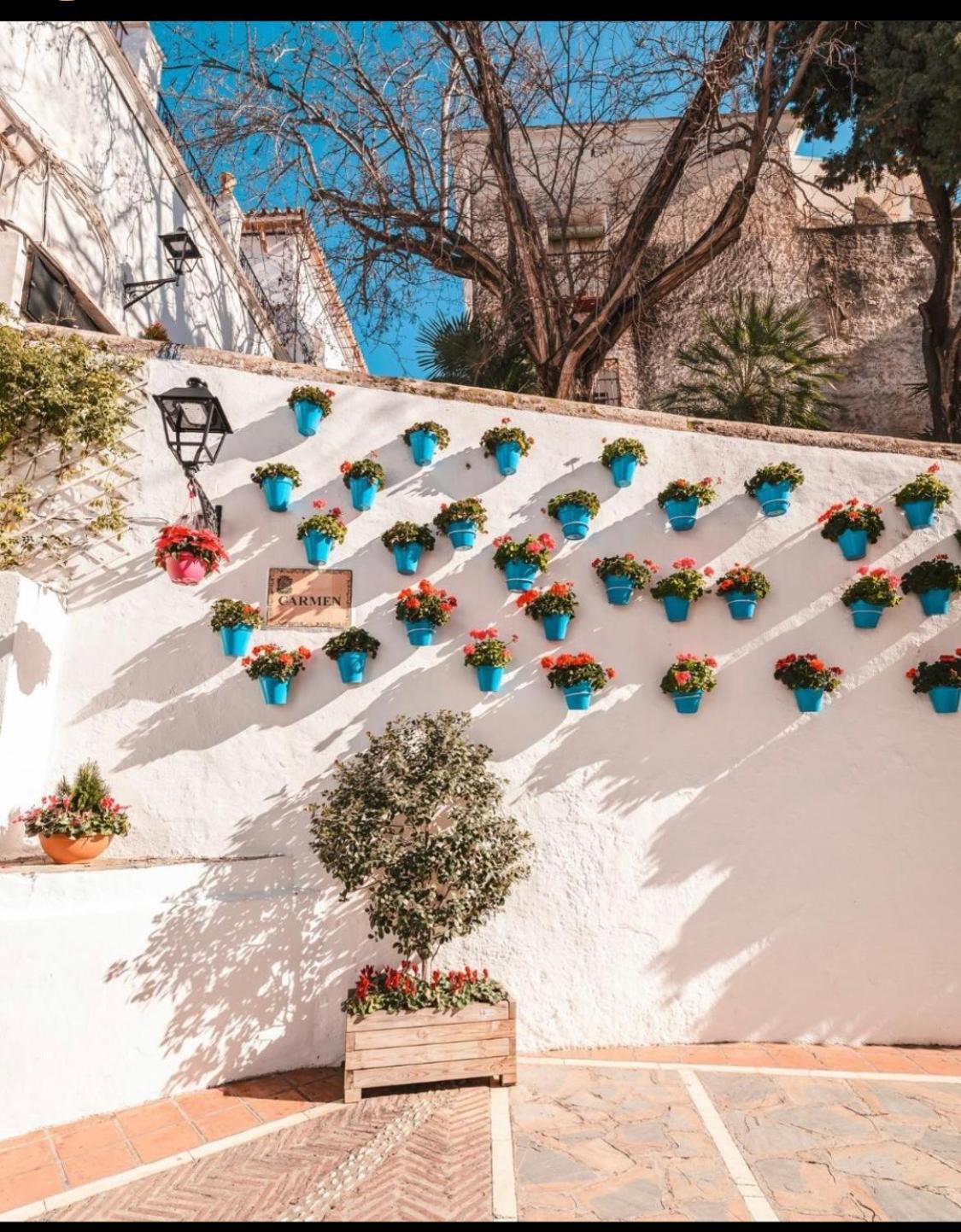 Apartamento Plaza de los Naranjos