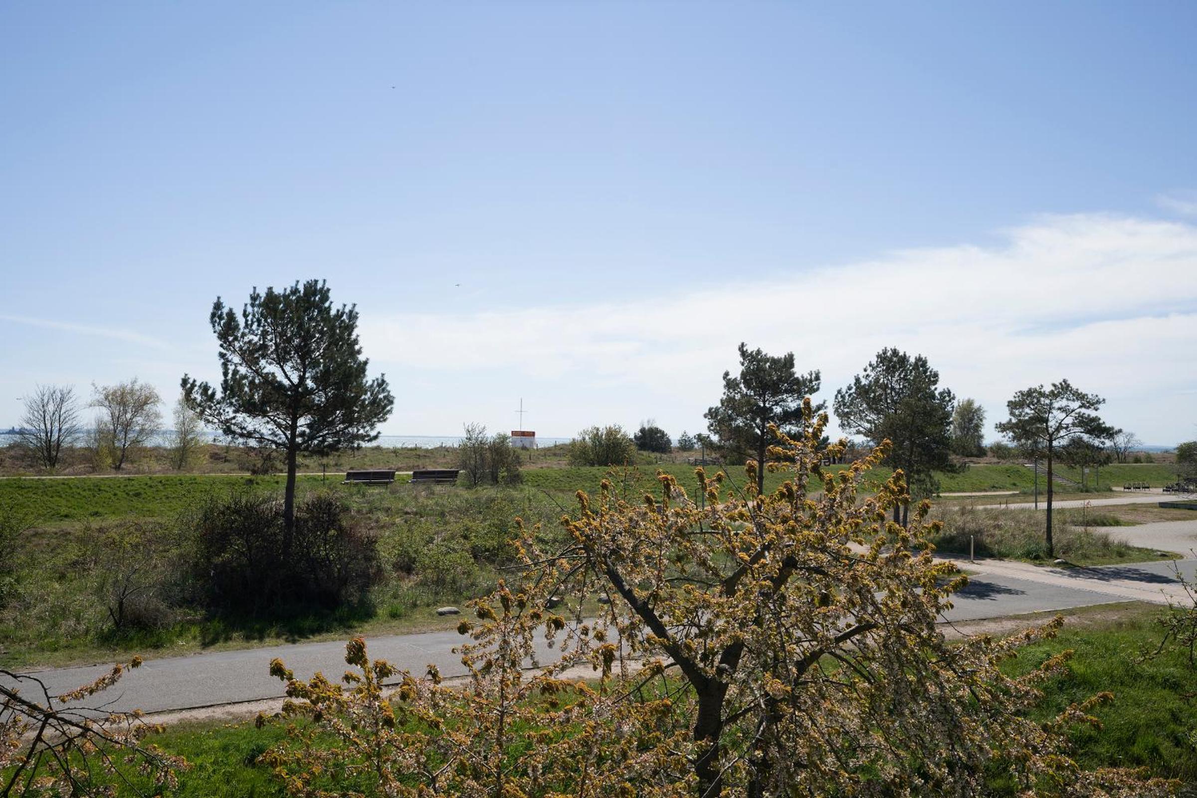 Lensterstrand Oase Nr 8