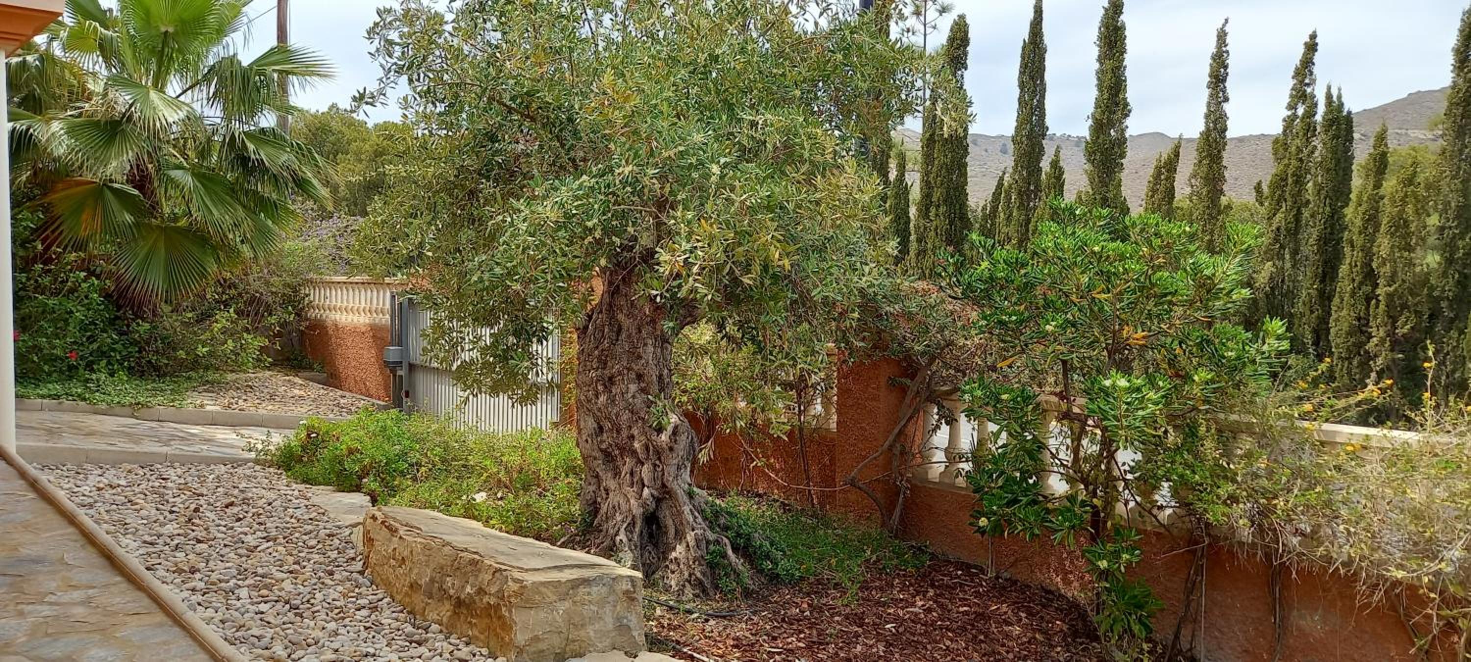 Photo 19
