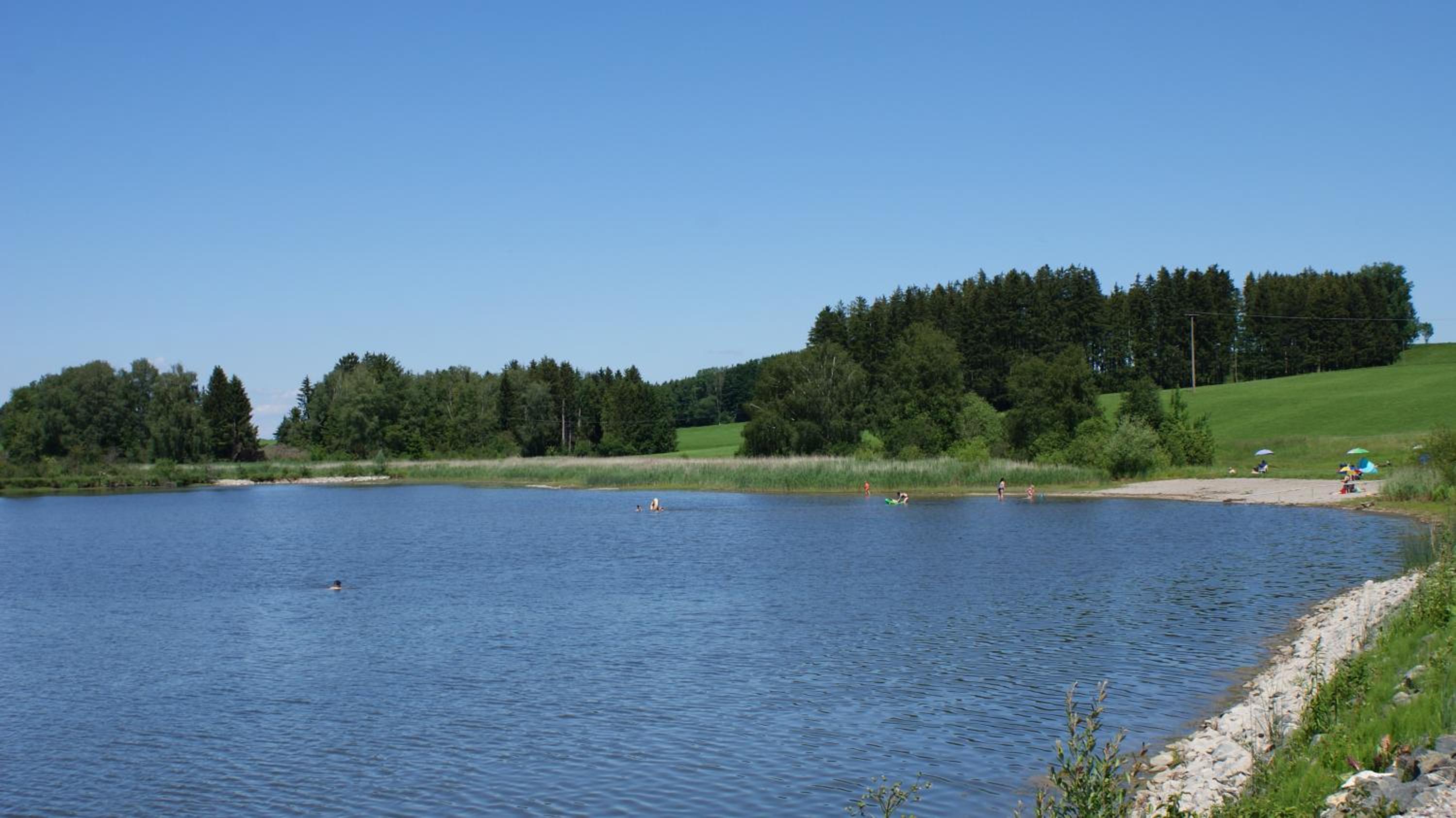 Bauer Haug